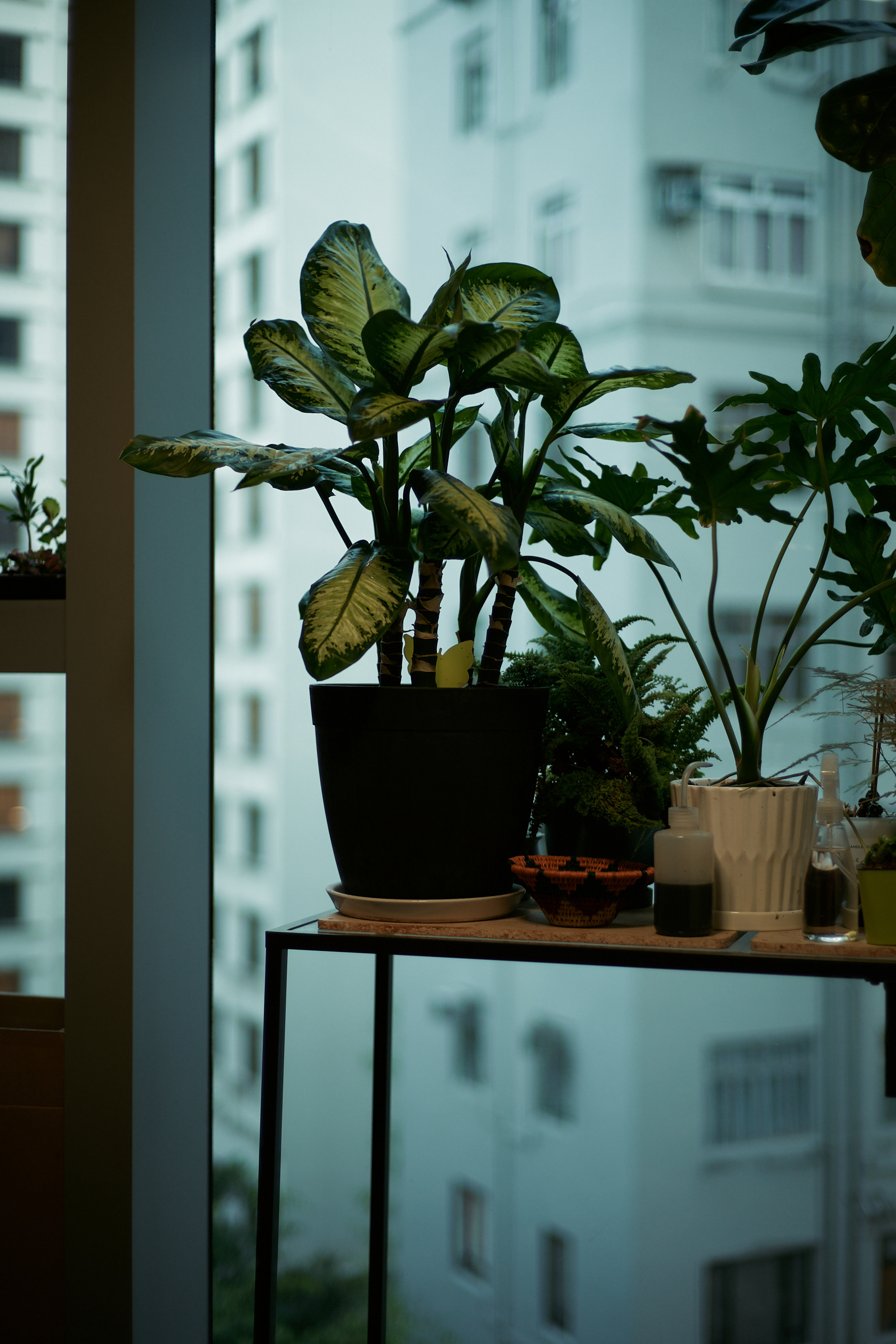 Zeiss C Sonnar 1.5/50