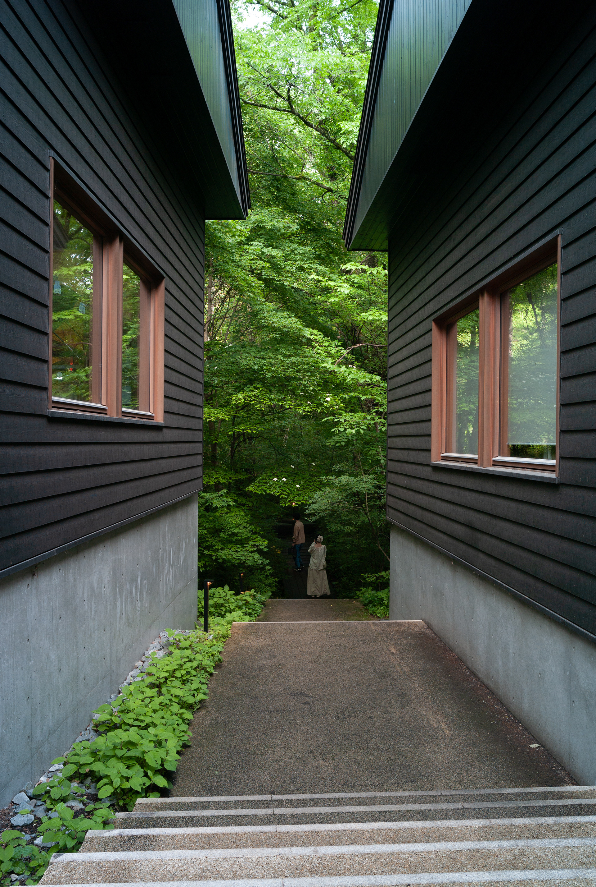 Karuizawa, Japan - Leica M8 + Thypoch Ksana 21mm F/3.5
