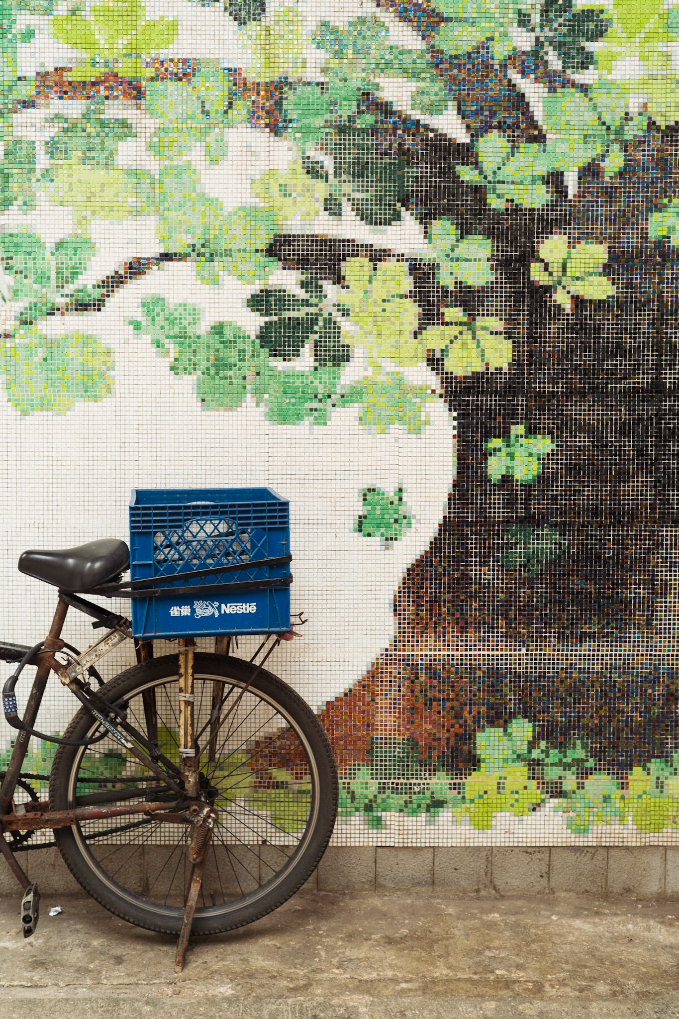 Delivery, Hong Kong - Leica M11-P