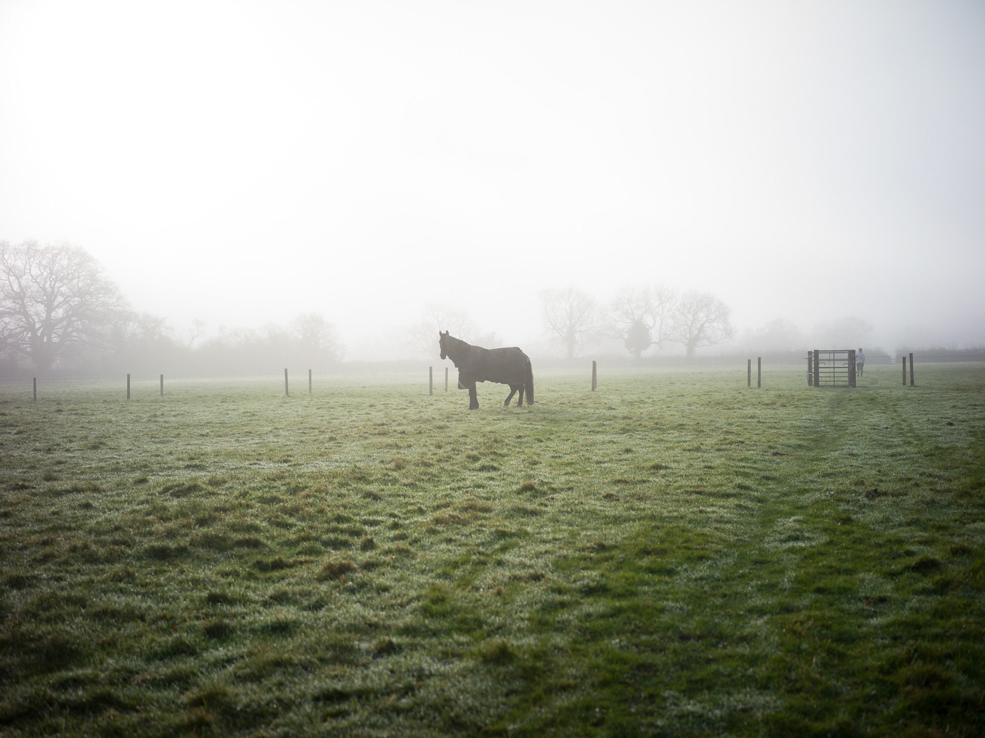 UK - Hasselblad X1Dii 50c + XCD 55V