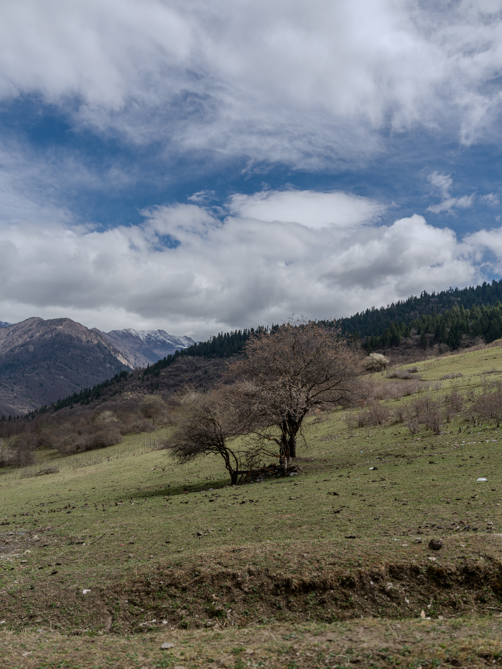 Jiuzhaiguo - Hasselblad X2Dii + XCD 35-100e
