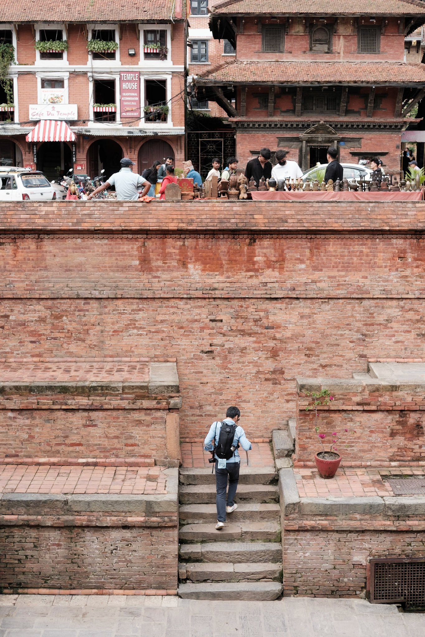 Busy bee, Kathmandu, Nepal - Fujifilm X-E4