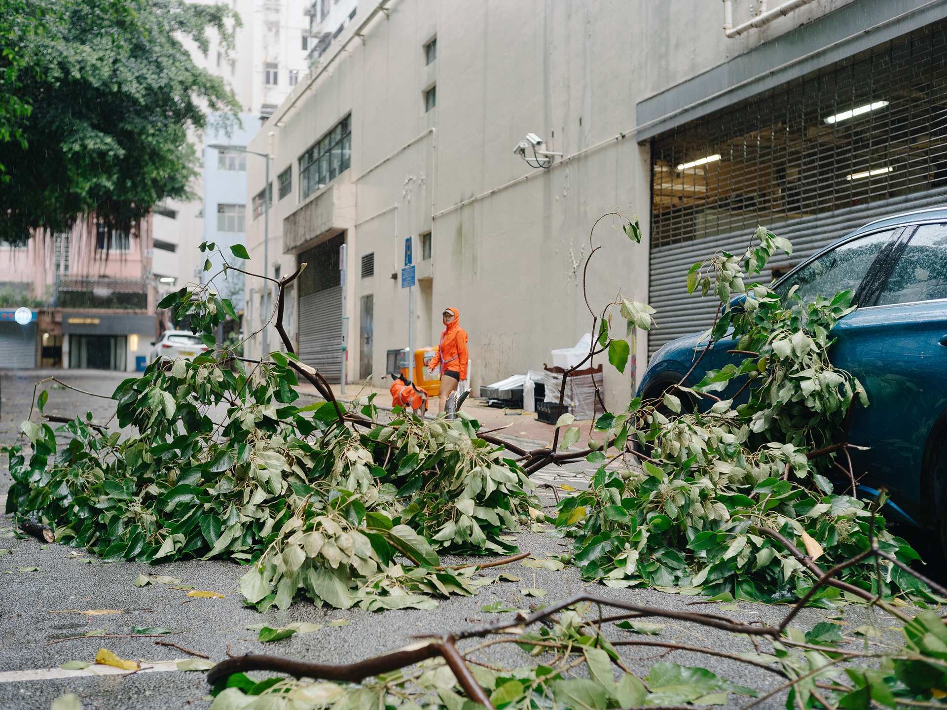Hong Kong Typhoon - Leica SL2-S + Voigtlander Nokton 40mm F/1.4