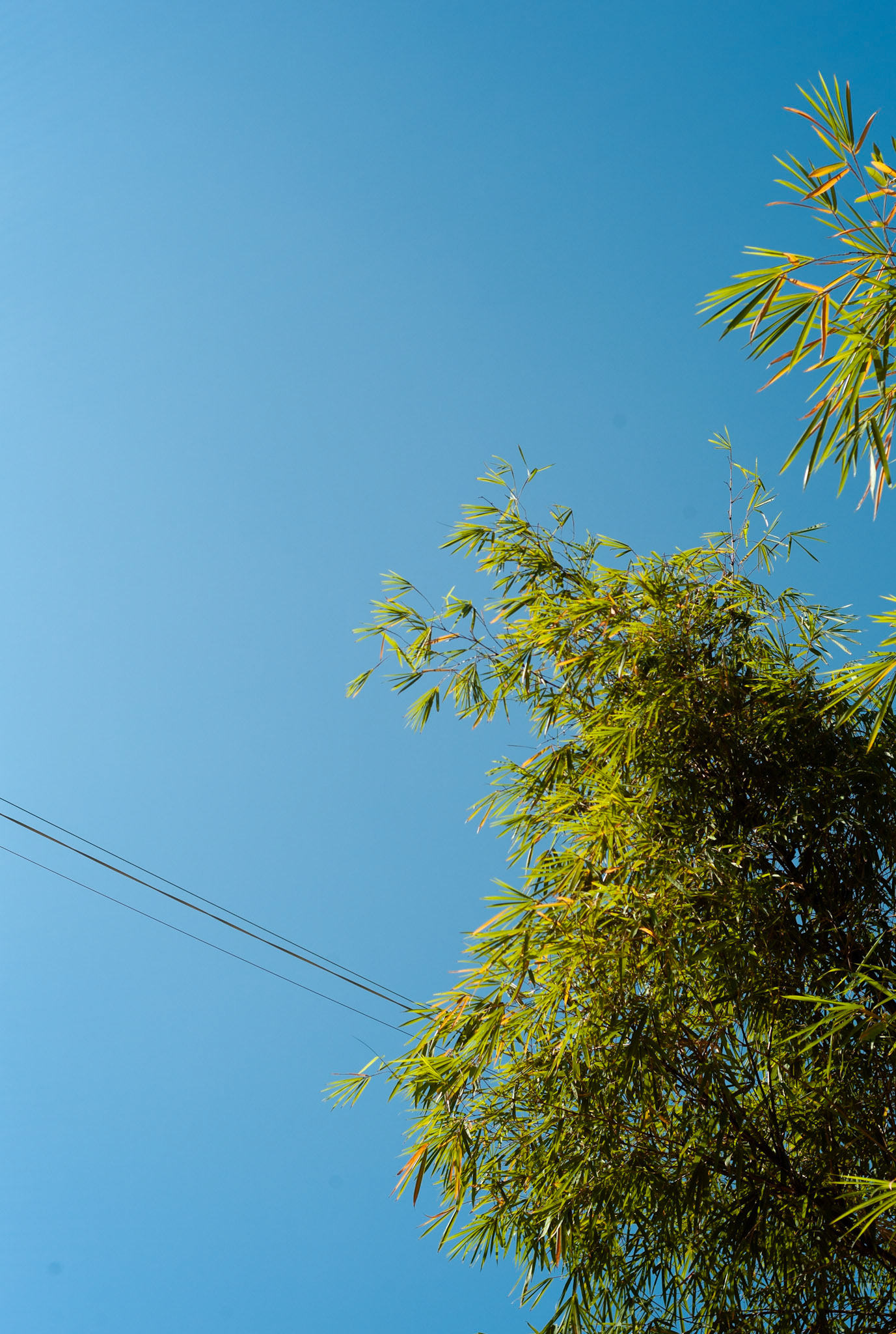 Hong Kong - Leica M8