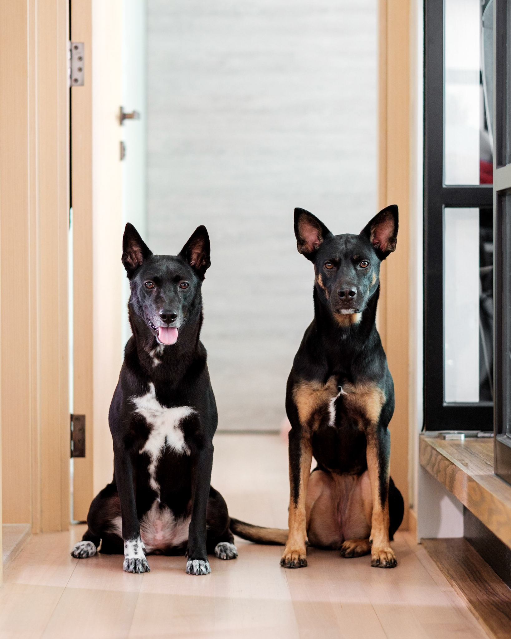 Besties, Hong Kong - Fujifilm X-Pro2