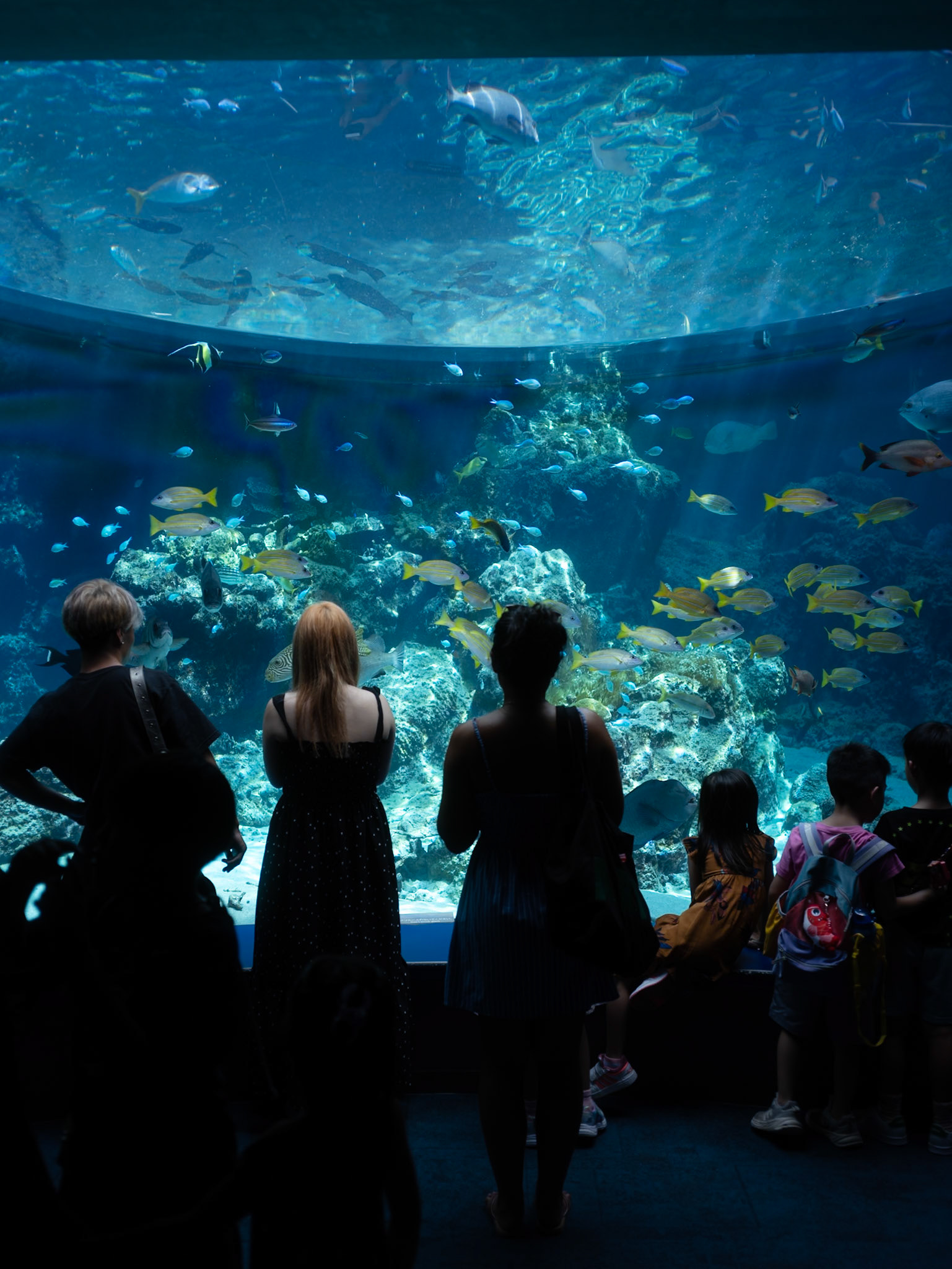 Okinawa Aquarium, Japan - Leica SL2-S