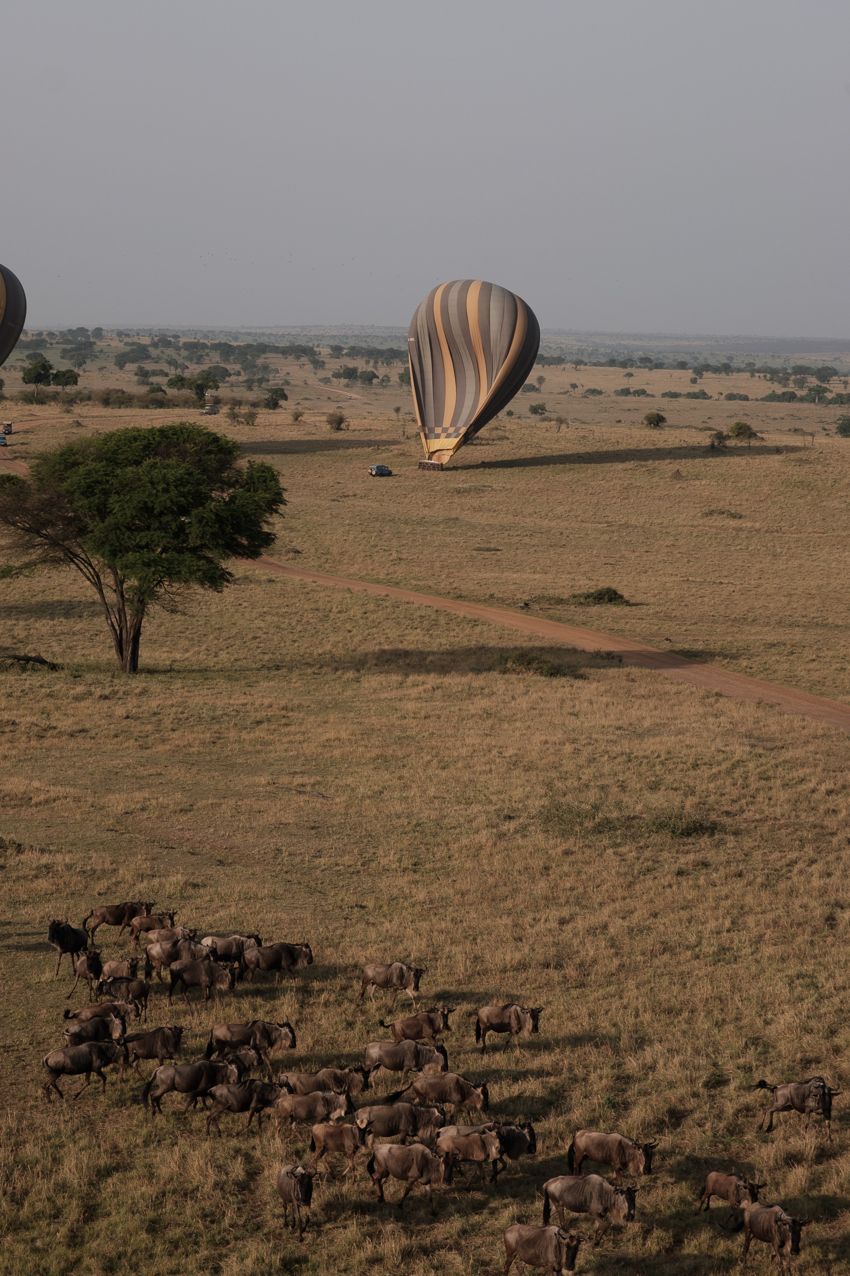 Hot Air Balloon - Fujifilm X-Pro2 + XF16-80mm
