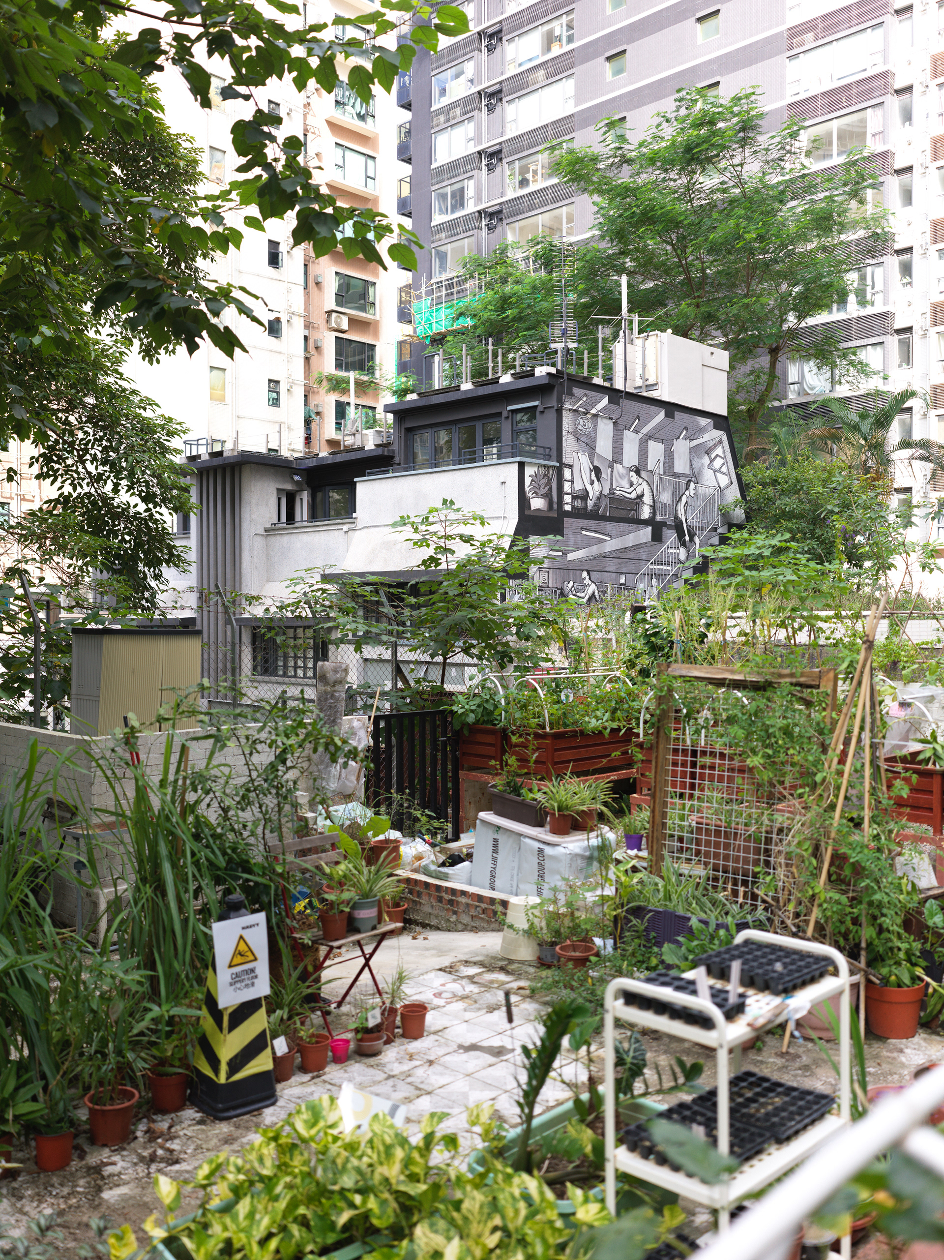 Hong Kong