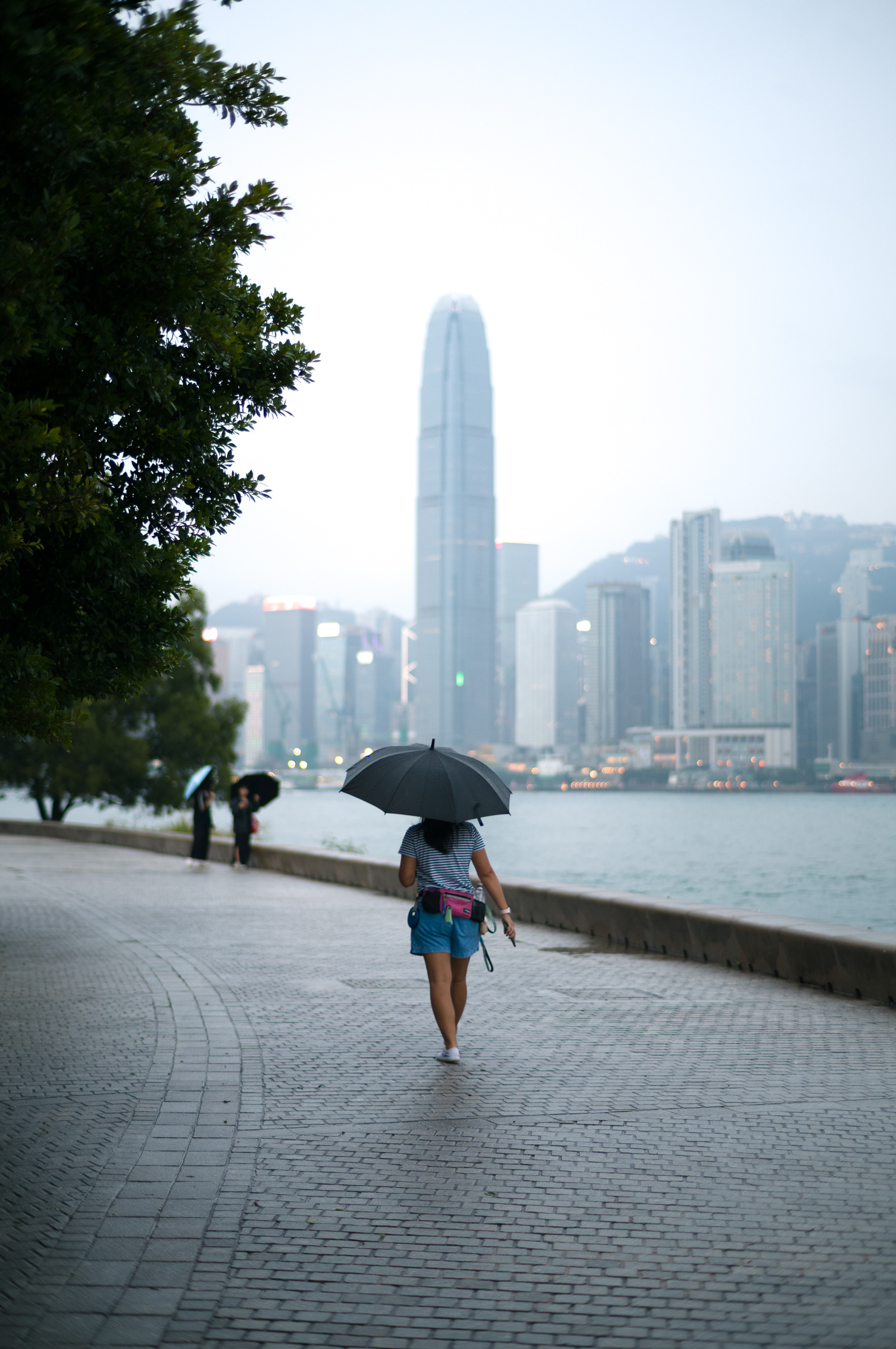 Hong Kong - Leica M11-P + Leica Summilux 50mm f/1.4 (2025 Reissue)