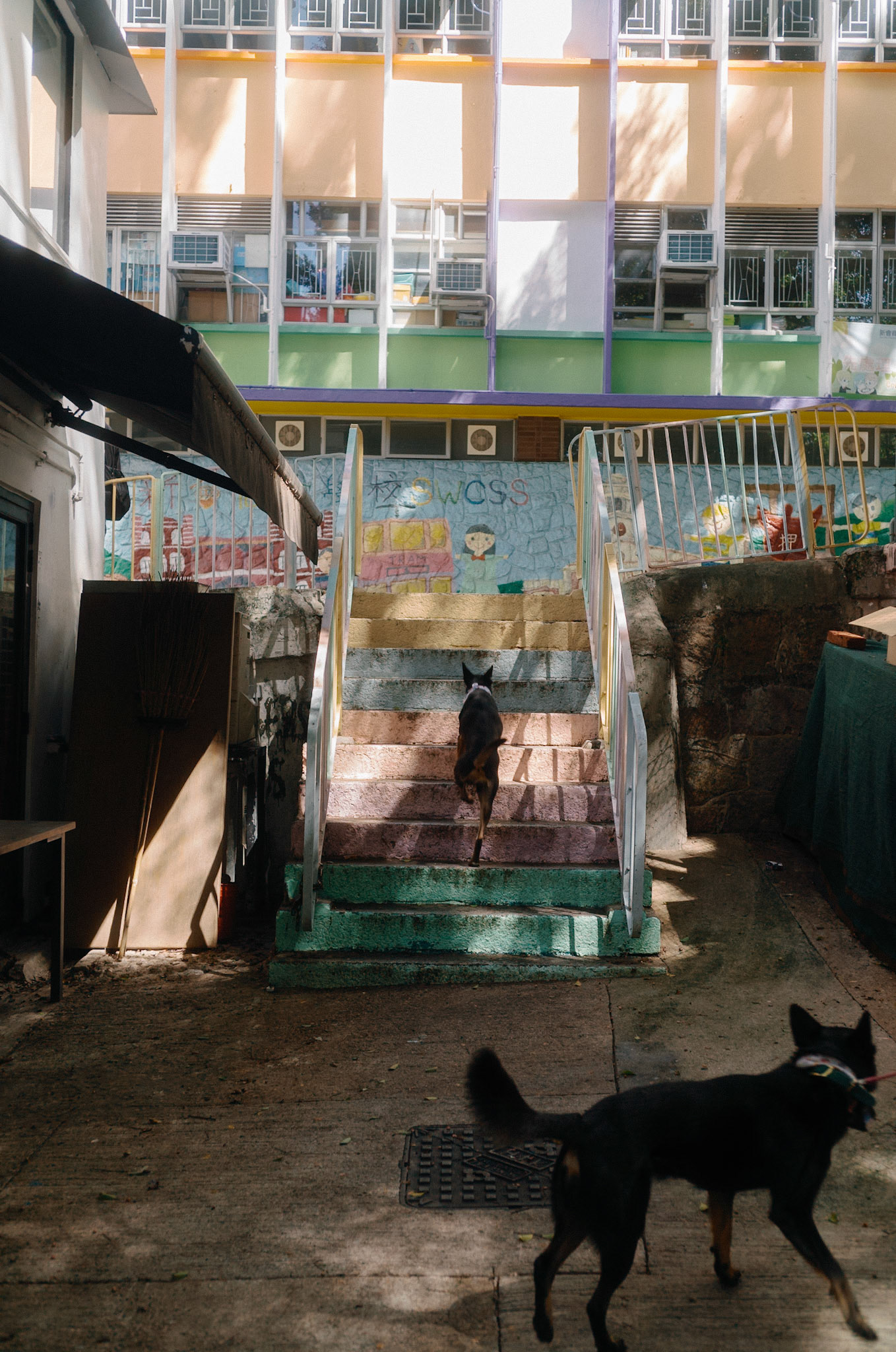 Rainbow stairs, Hong Kong - Leica M11-P