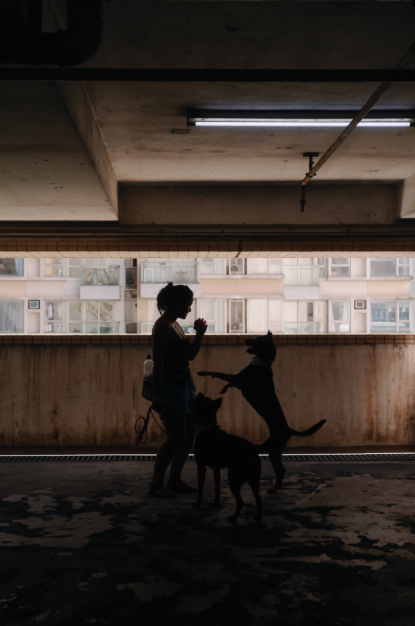 Hong Kong street - Leica M11-P