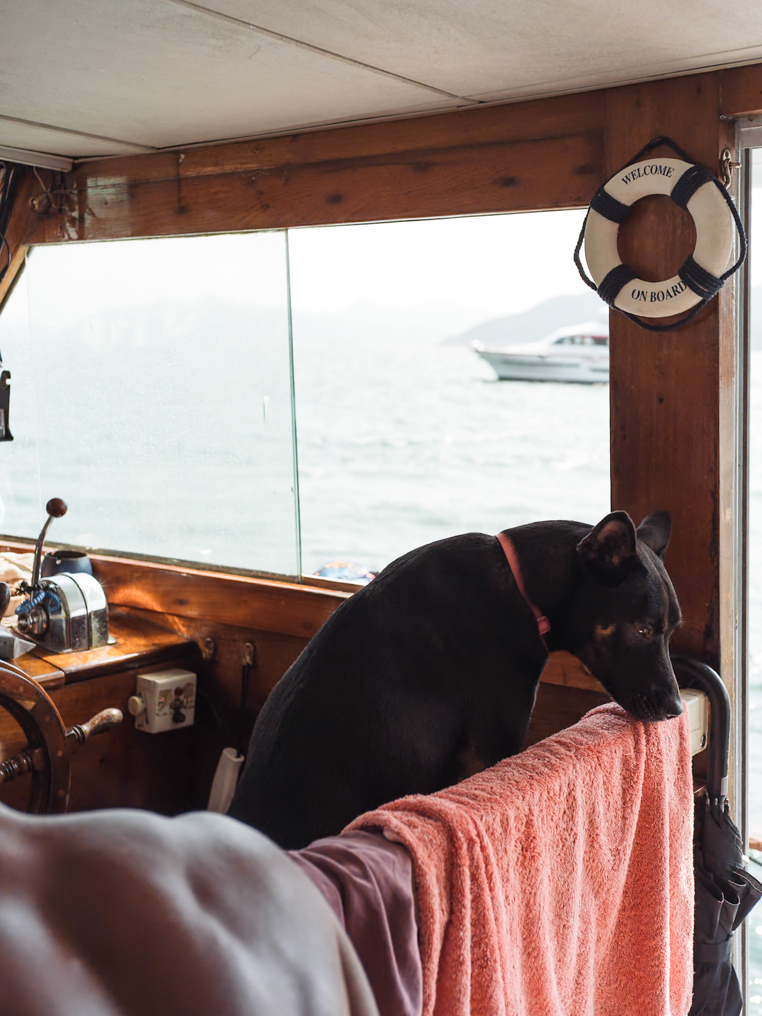 Boat trip, Hong Kong - Leica SL2-S