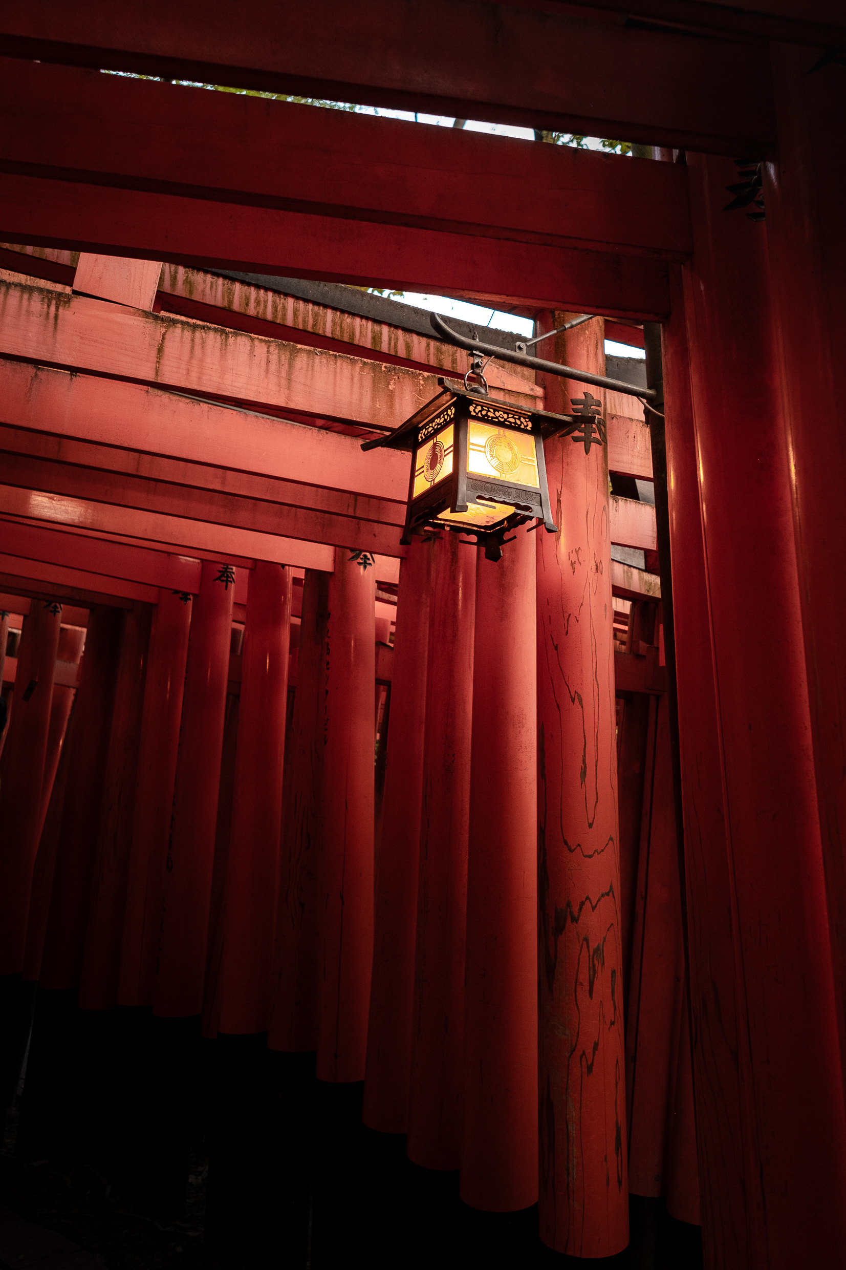 Osaka, Japan - Fujifilm X-Pro2 + XF14mm F/2.8