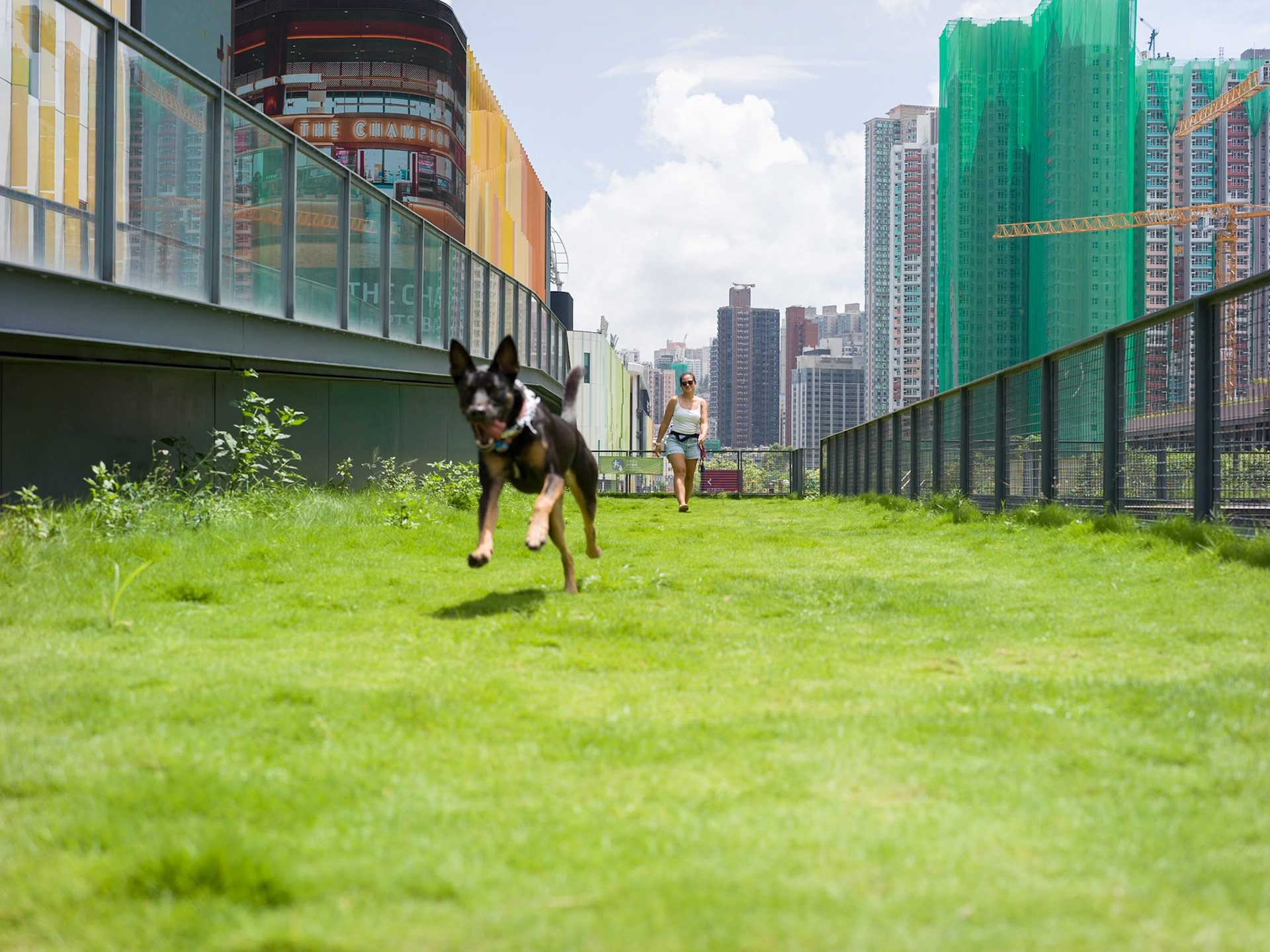Run, Hong Kong - Hasselblad 907x
