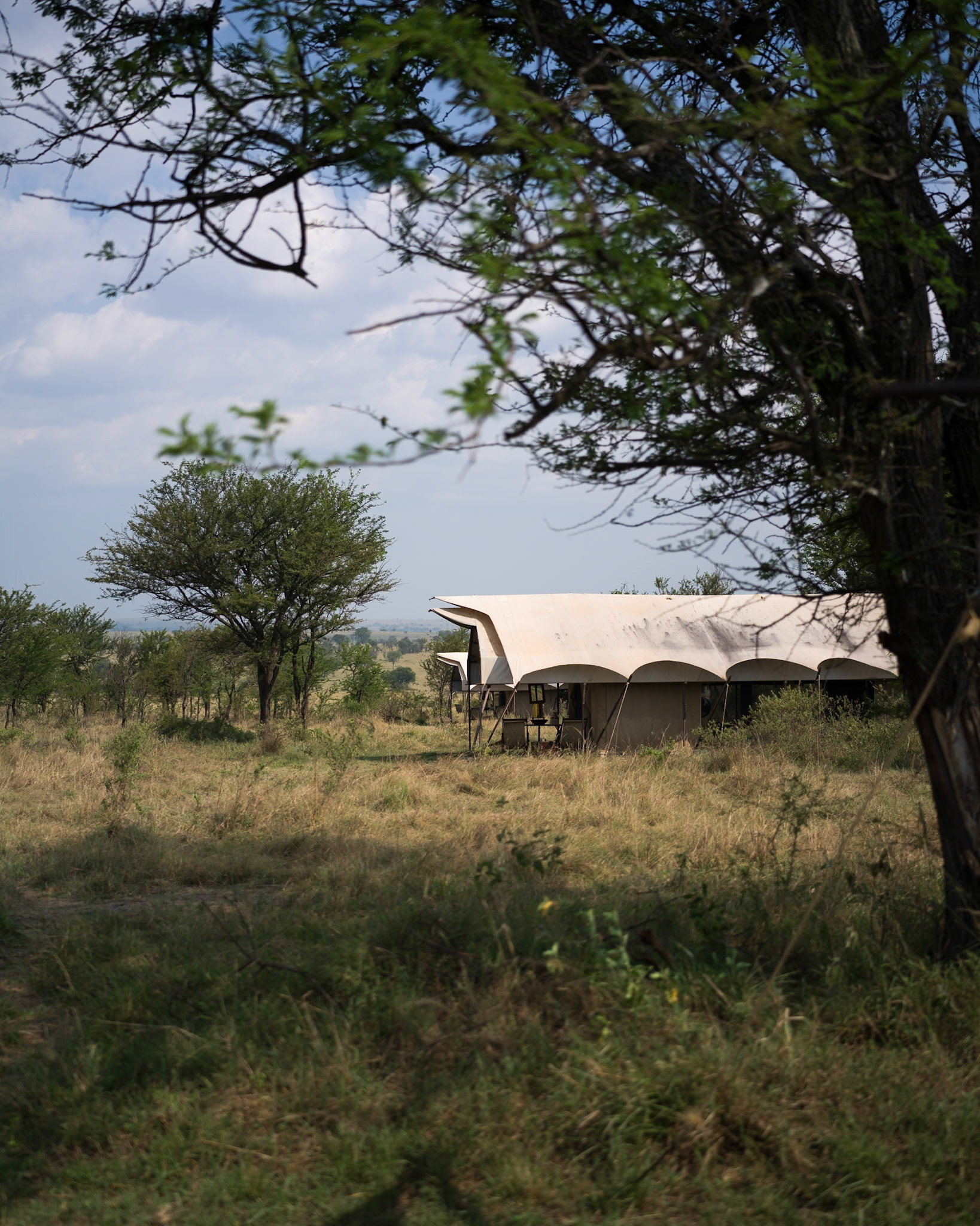@Beyond Serengeti Under Canvas camp, Tanzania - Hasselblad X2Dii
