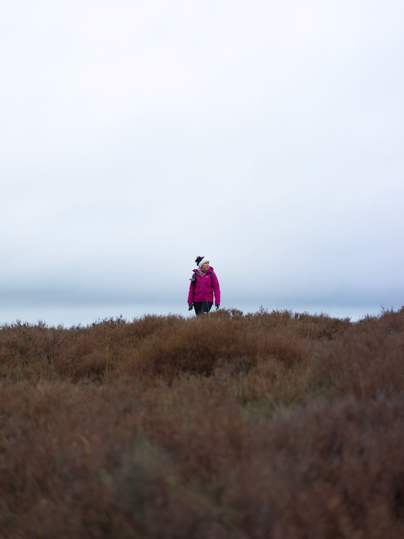 Peak District - Hasselblad X1Dii 50c + XCD 55V