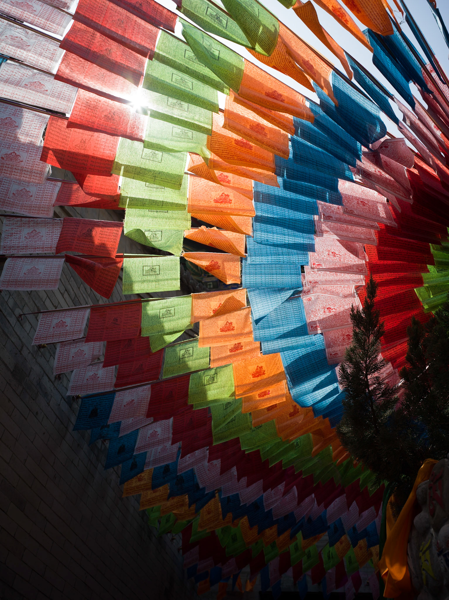 Flags, Xi'an, China - Hasselblad X1Dii 