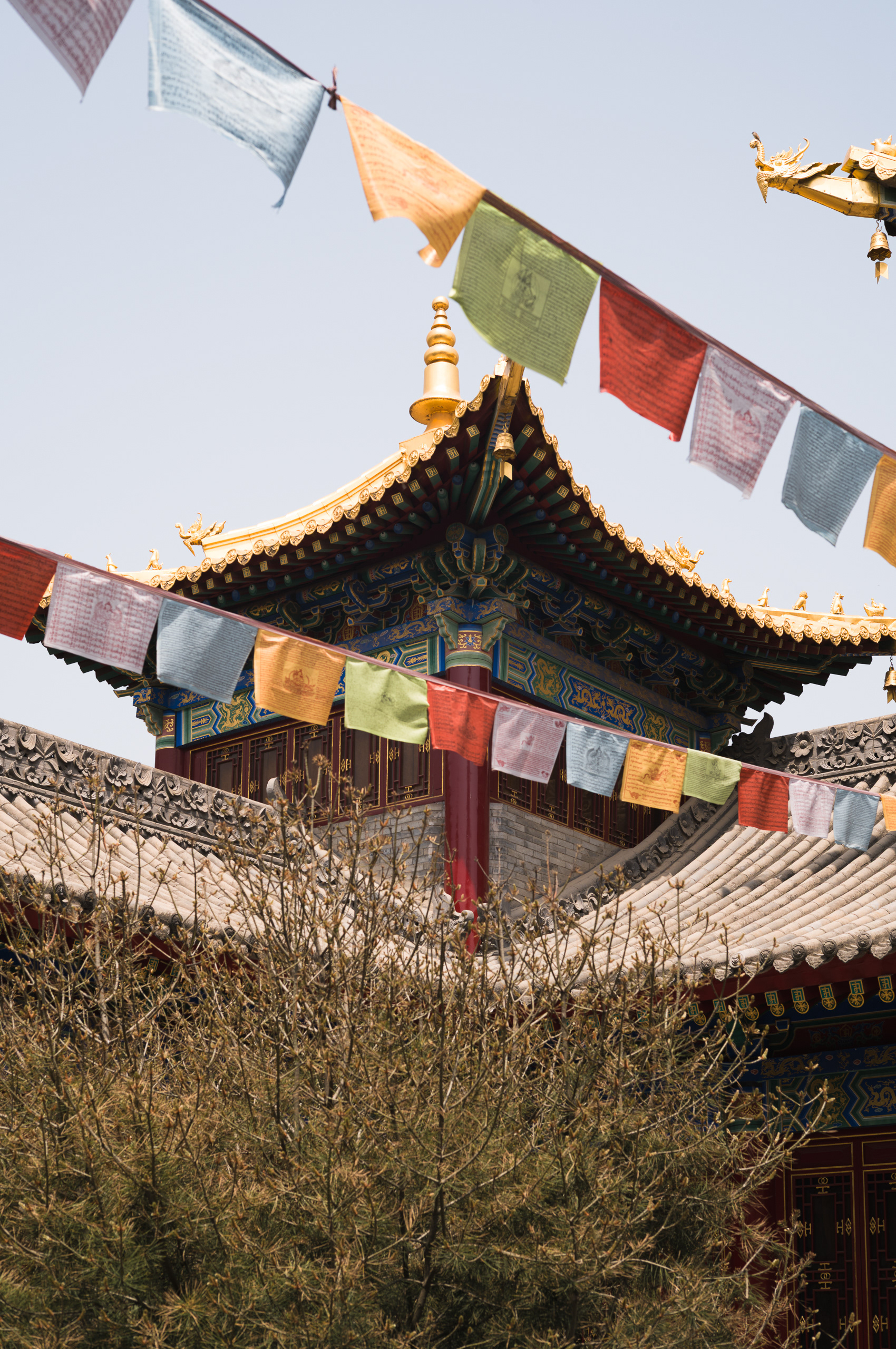 Xi'an, China - Leica M11-P + Leica Summicron 50mm f/2