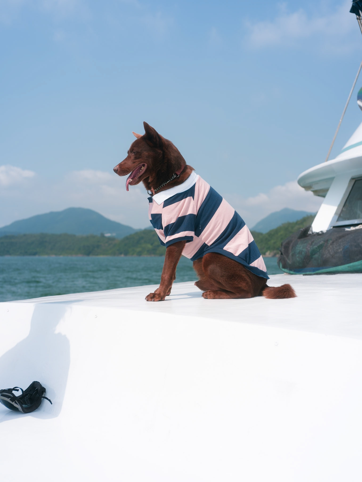 Boat trip, Hong Kong - Leica SL2-S