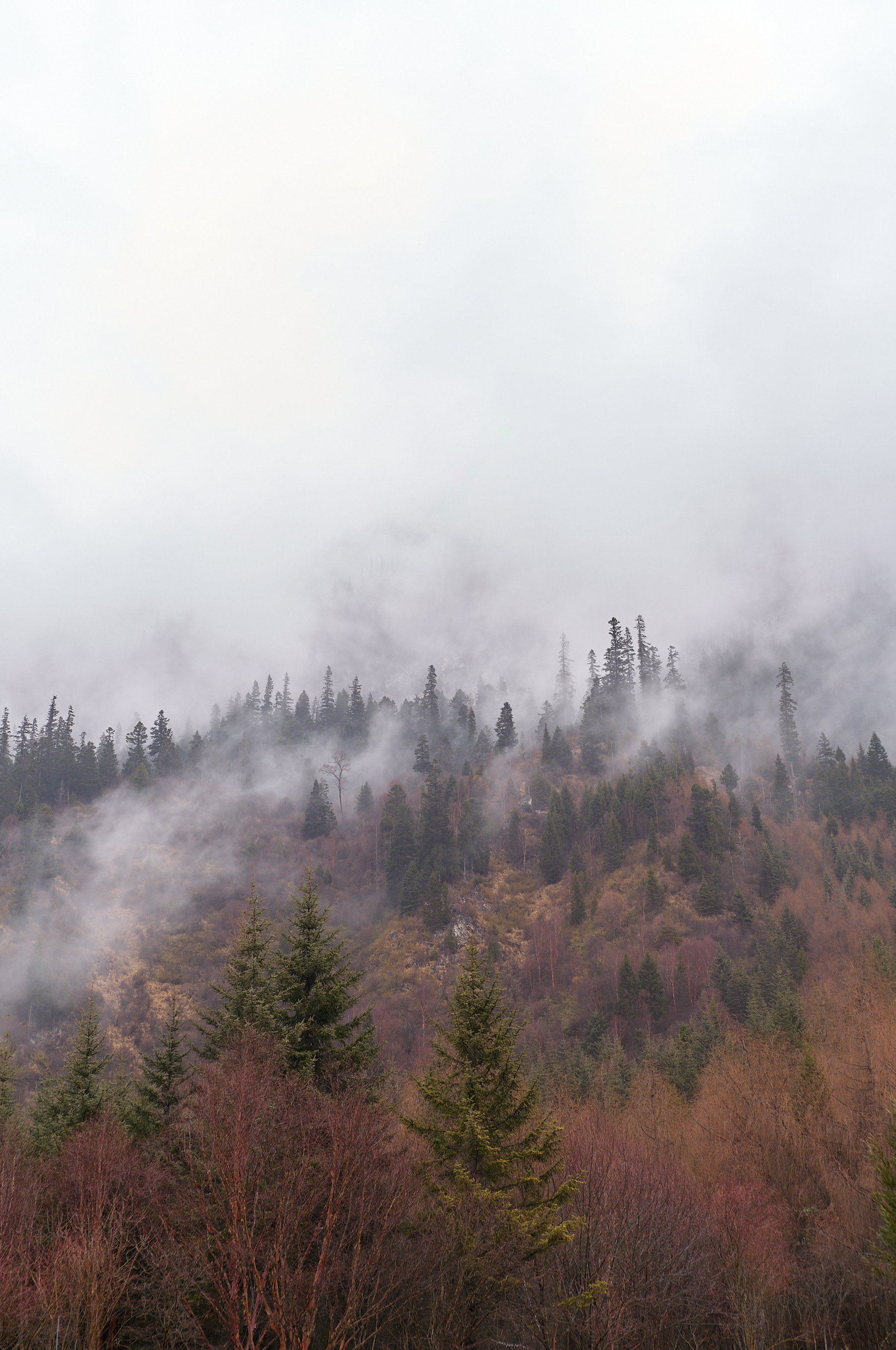 Jiuzhaigou, China - Leica M11-P + Zeiss C Biogon 35mm F/2.8