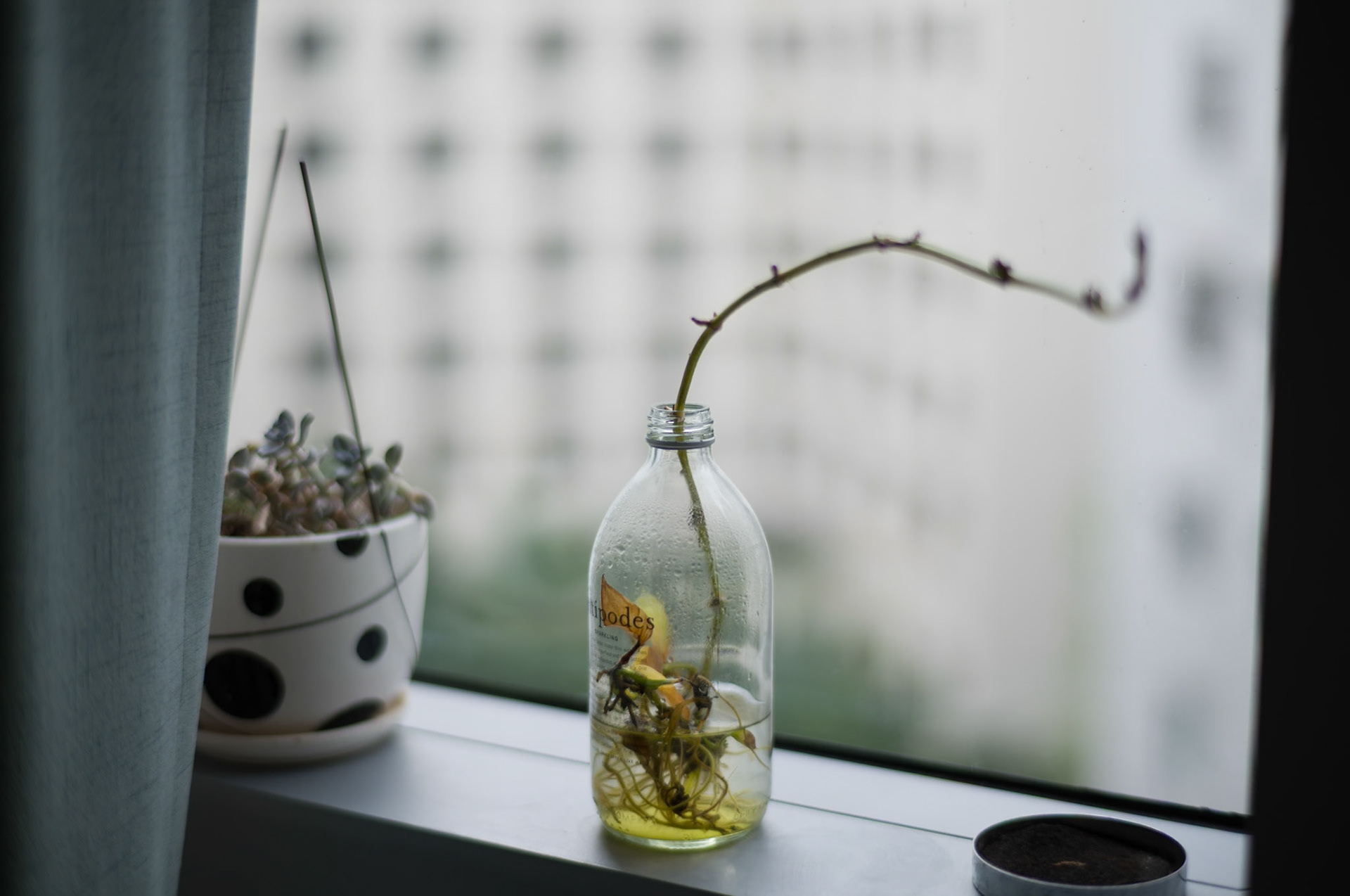f1.4