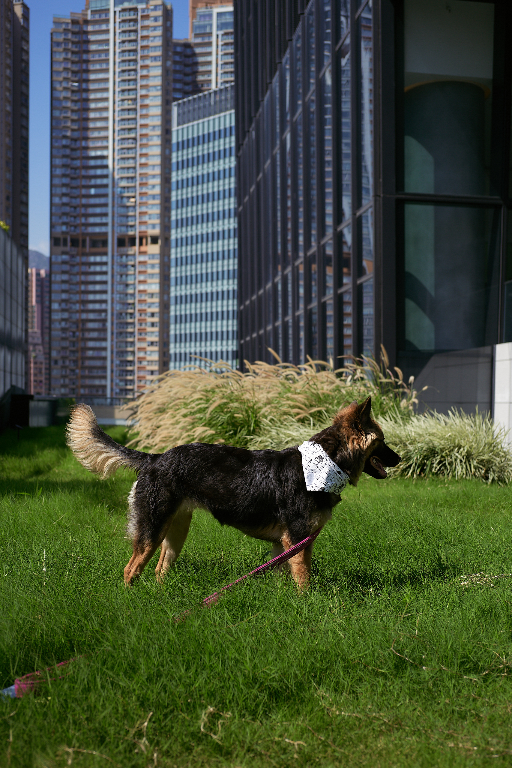 Hong Kong - Leica M10-P Reporter