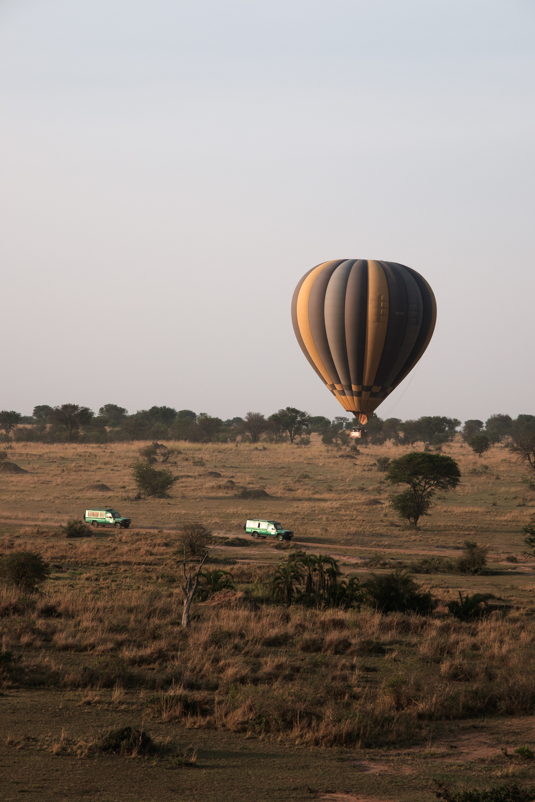 Serengeti National Park, Tanzania - Fujifilm X-Pro2 + XF16-80mm F/4