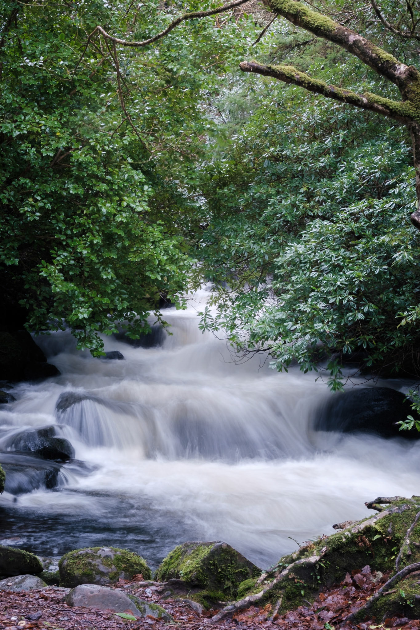 More water, Ireland - Fujifilm X-Pro2