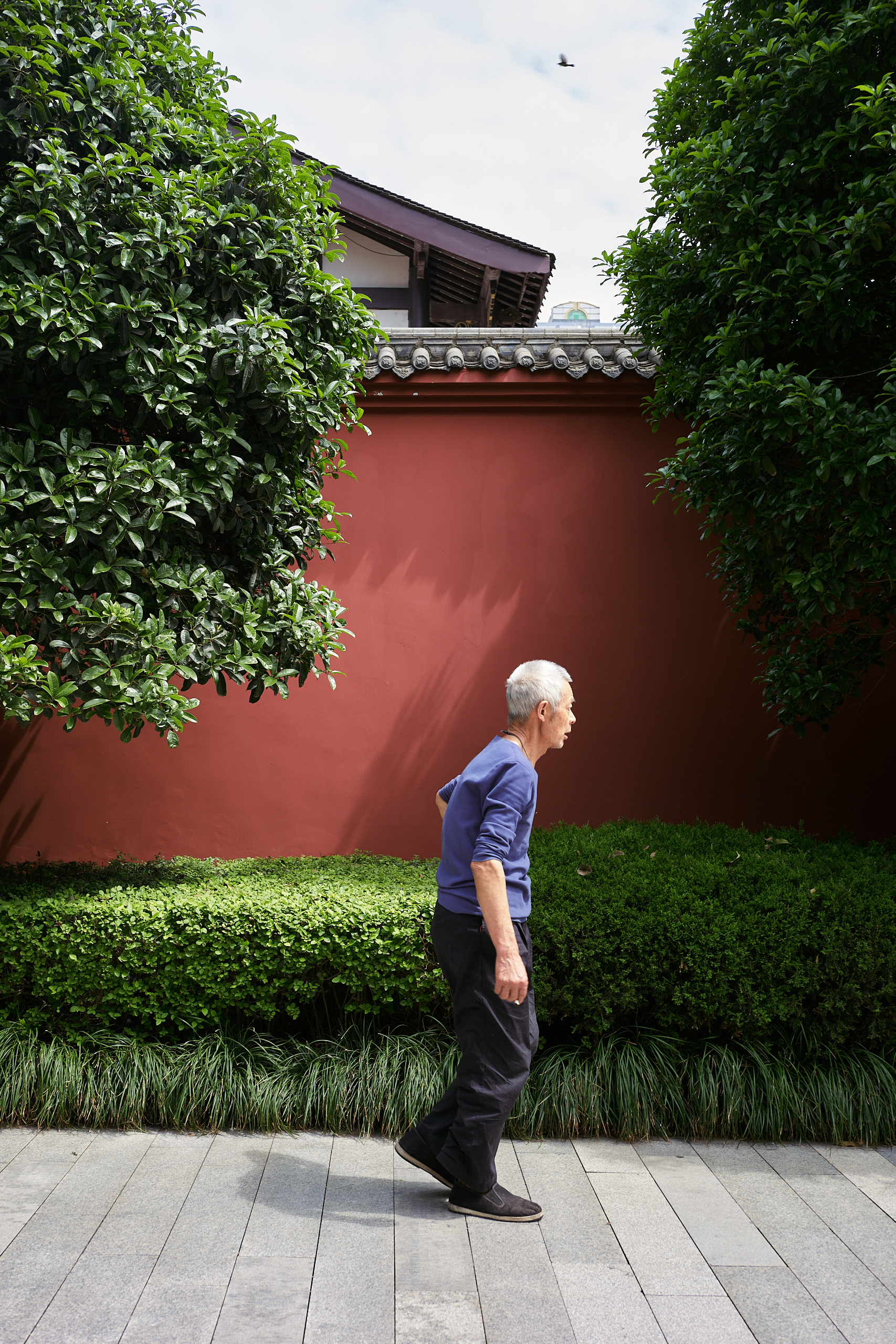 Chengdu, China - Leica M10-P Reporter + Zeiss C Biogon 35mm F/2.8