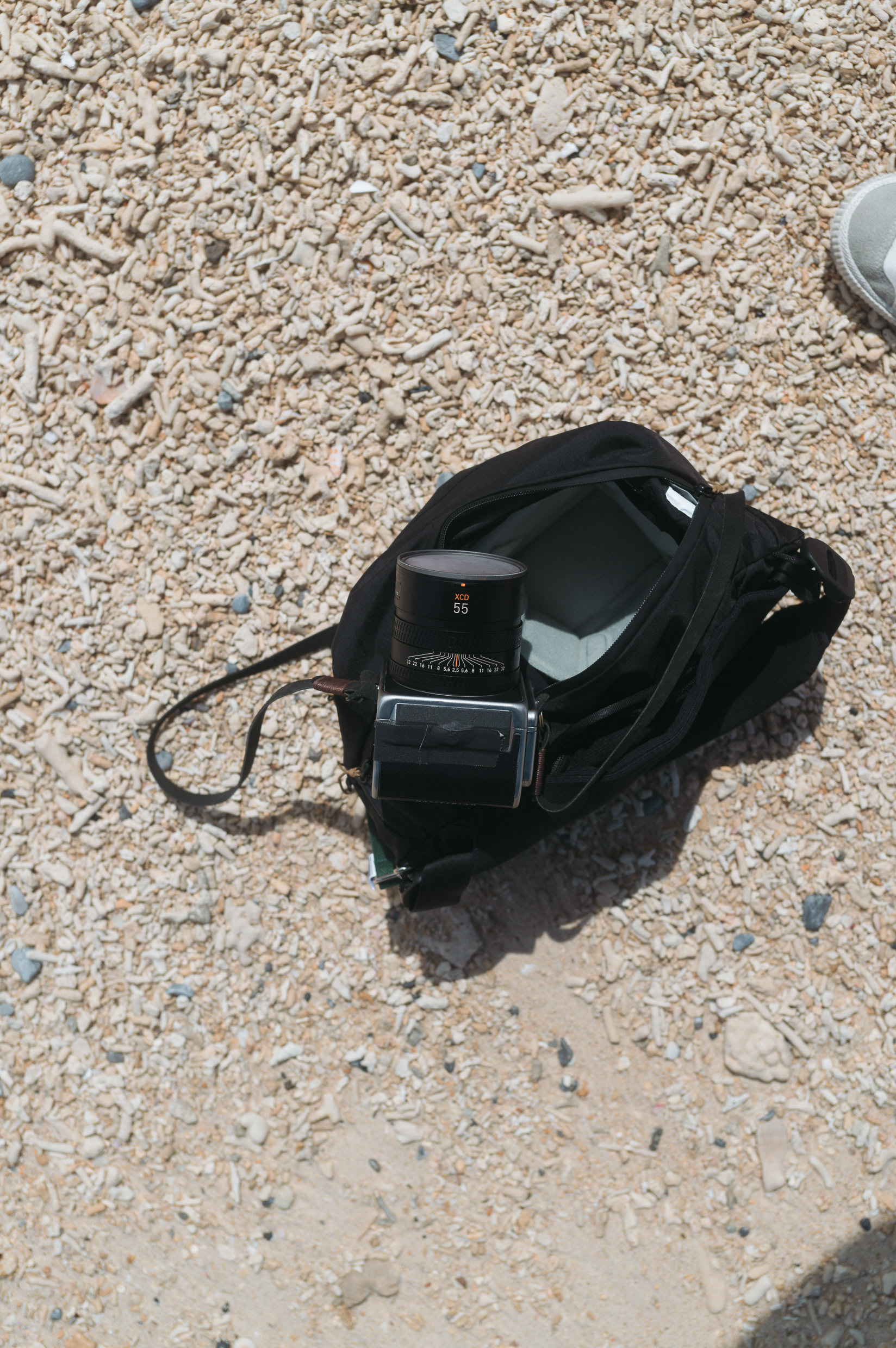 Hasselblad 907X & CFV II 50C + XCD 55v