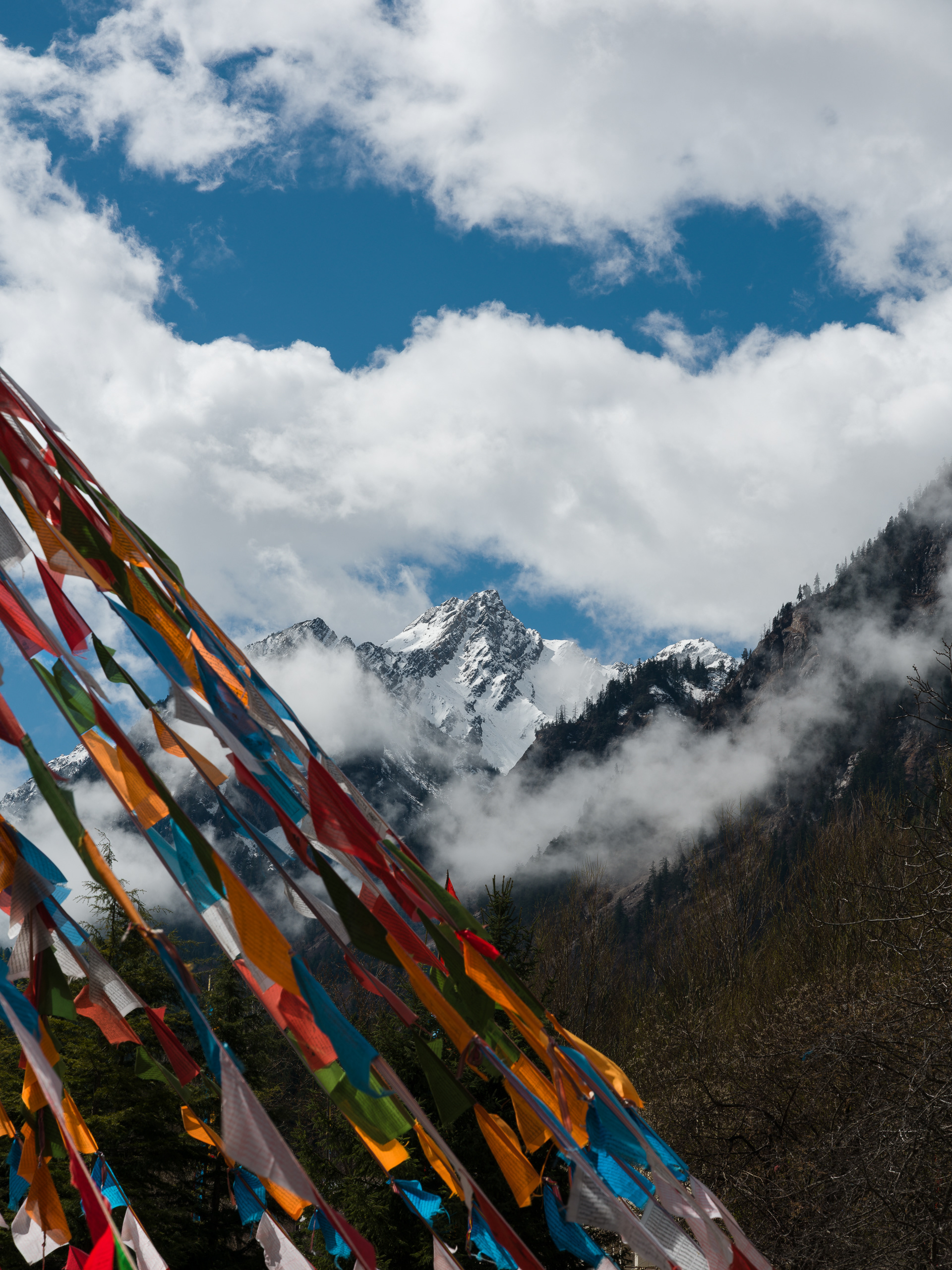 Jiuzhaigou - Hasselblad X2Dii + XCD 35-100e