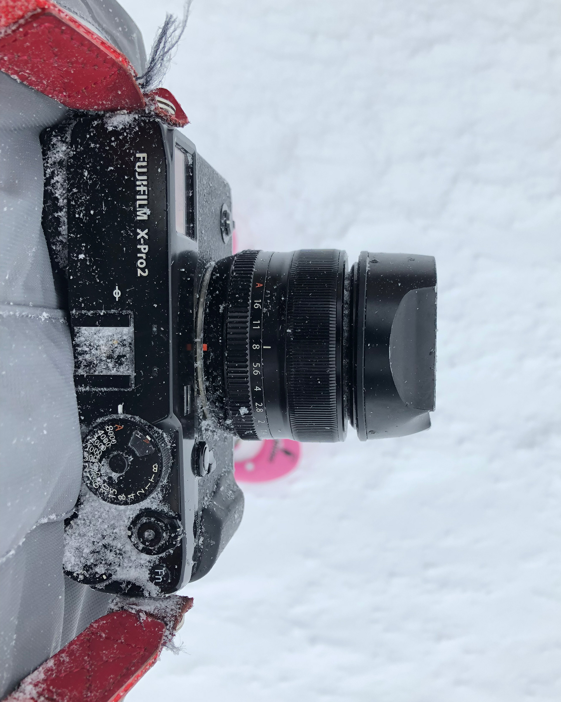 Fujifilm X-Pro2 + XF35mm F/1.4
