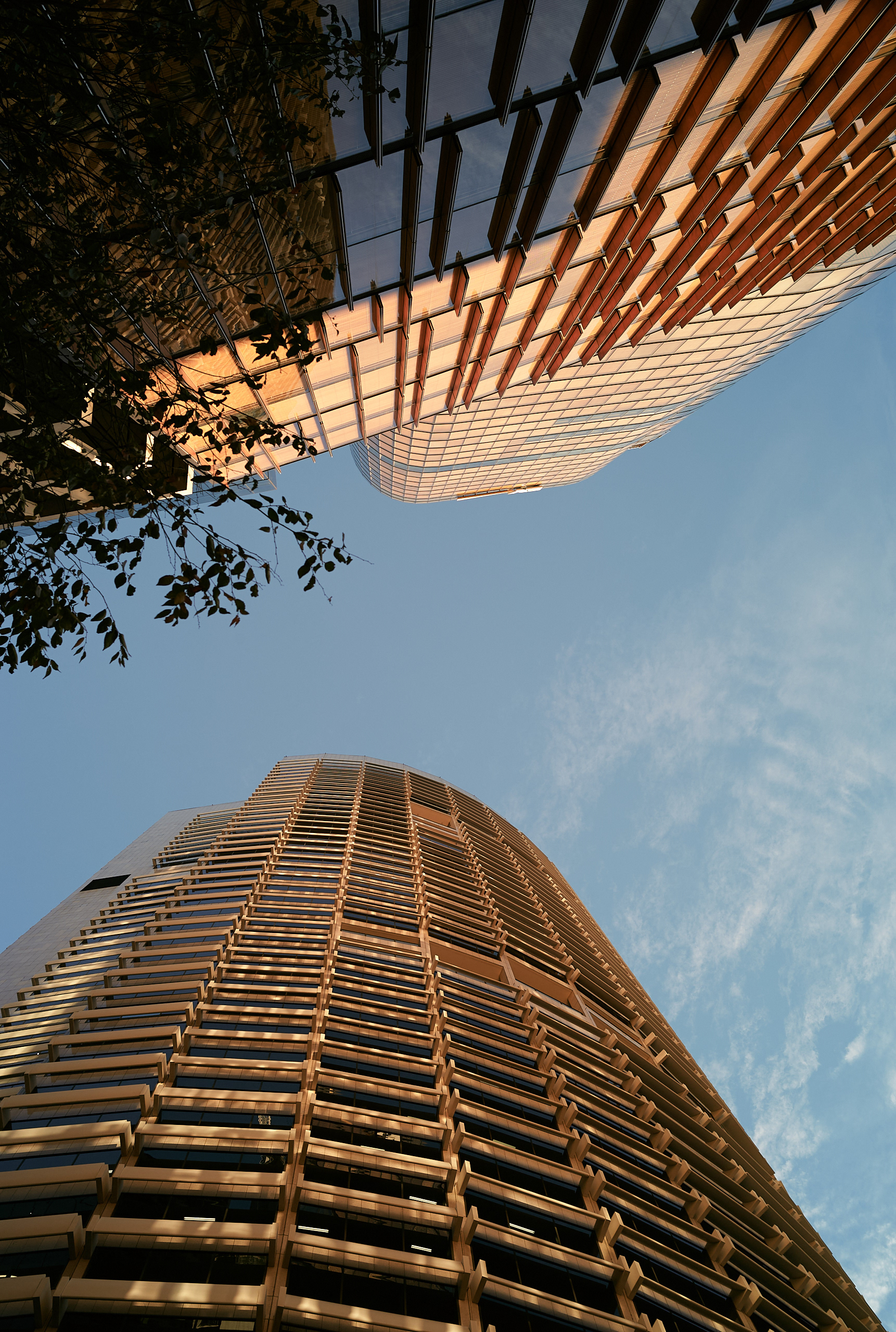 Sydney - Leica M8 + Zeiss C Sonnar 50mm f/1.5
