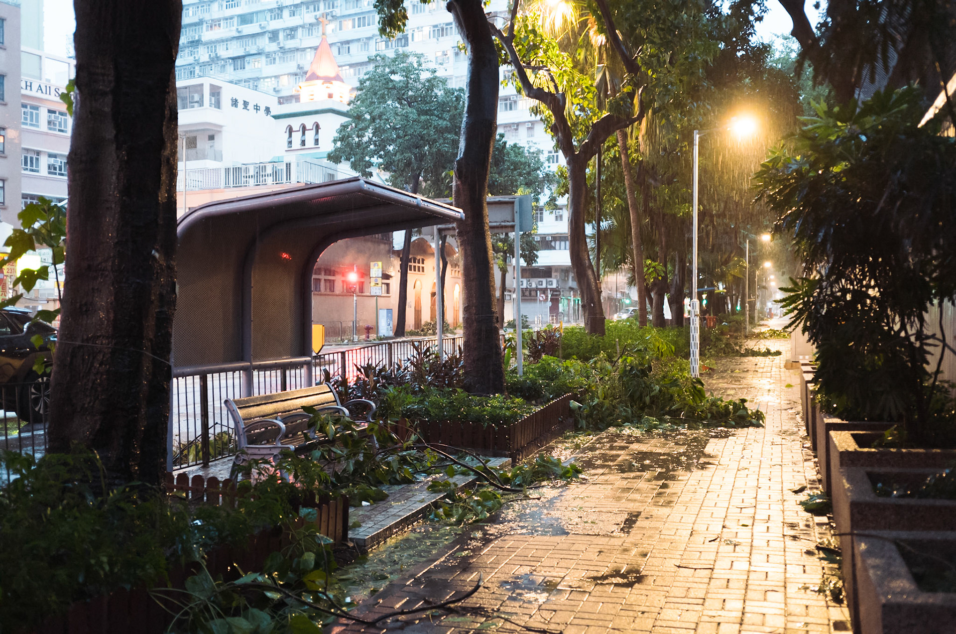 Hong Kong Typhoon aftermath - Leica M11-P