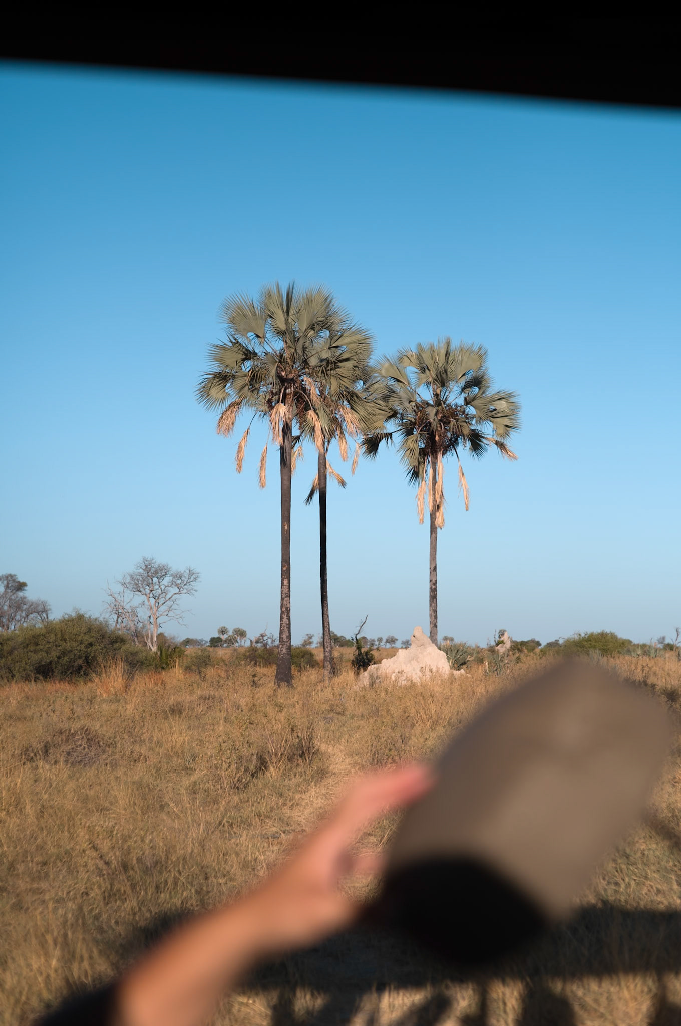 Okavango Delta, Botswana - Leica M11-P
