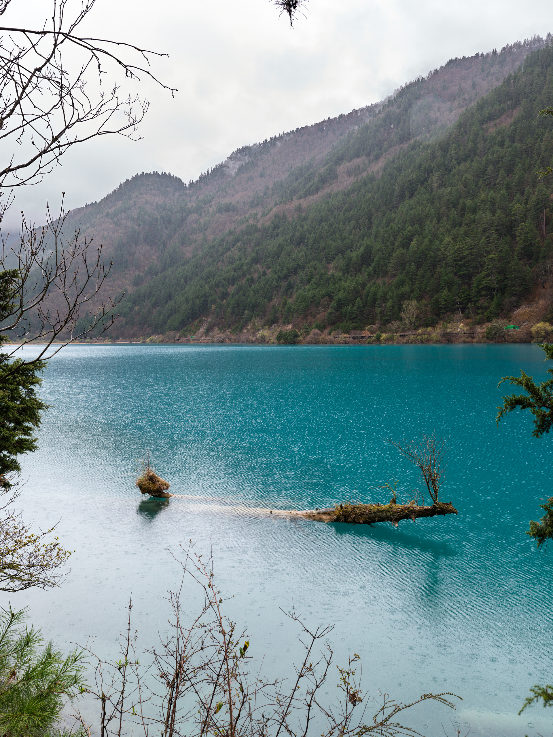 Jiuzhaigou National Park - Hasselblad X2Dii + XCD 35-100e