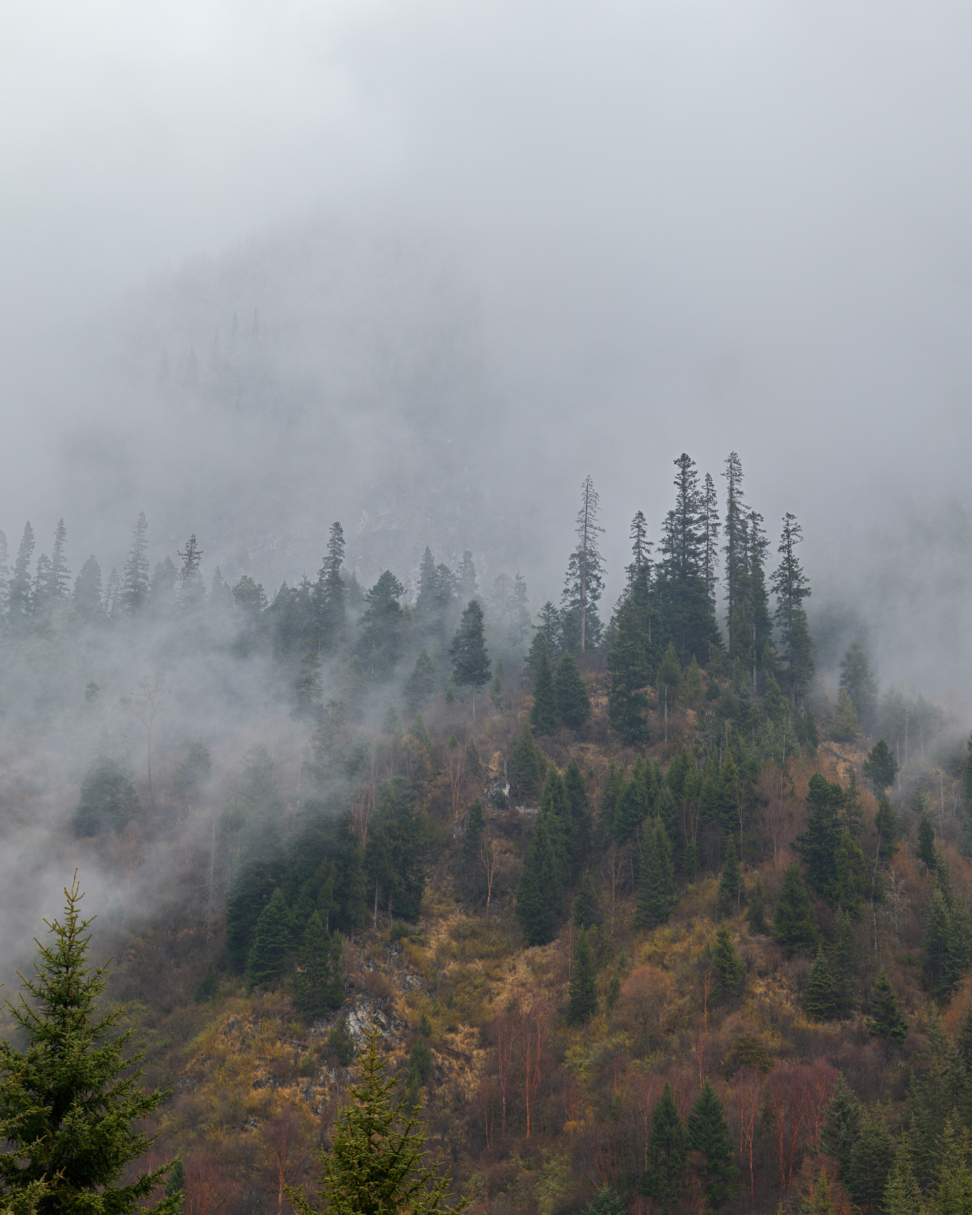 Jiuzhaigou National Park - Hasselblad X2Dii + XCD 35-100e