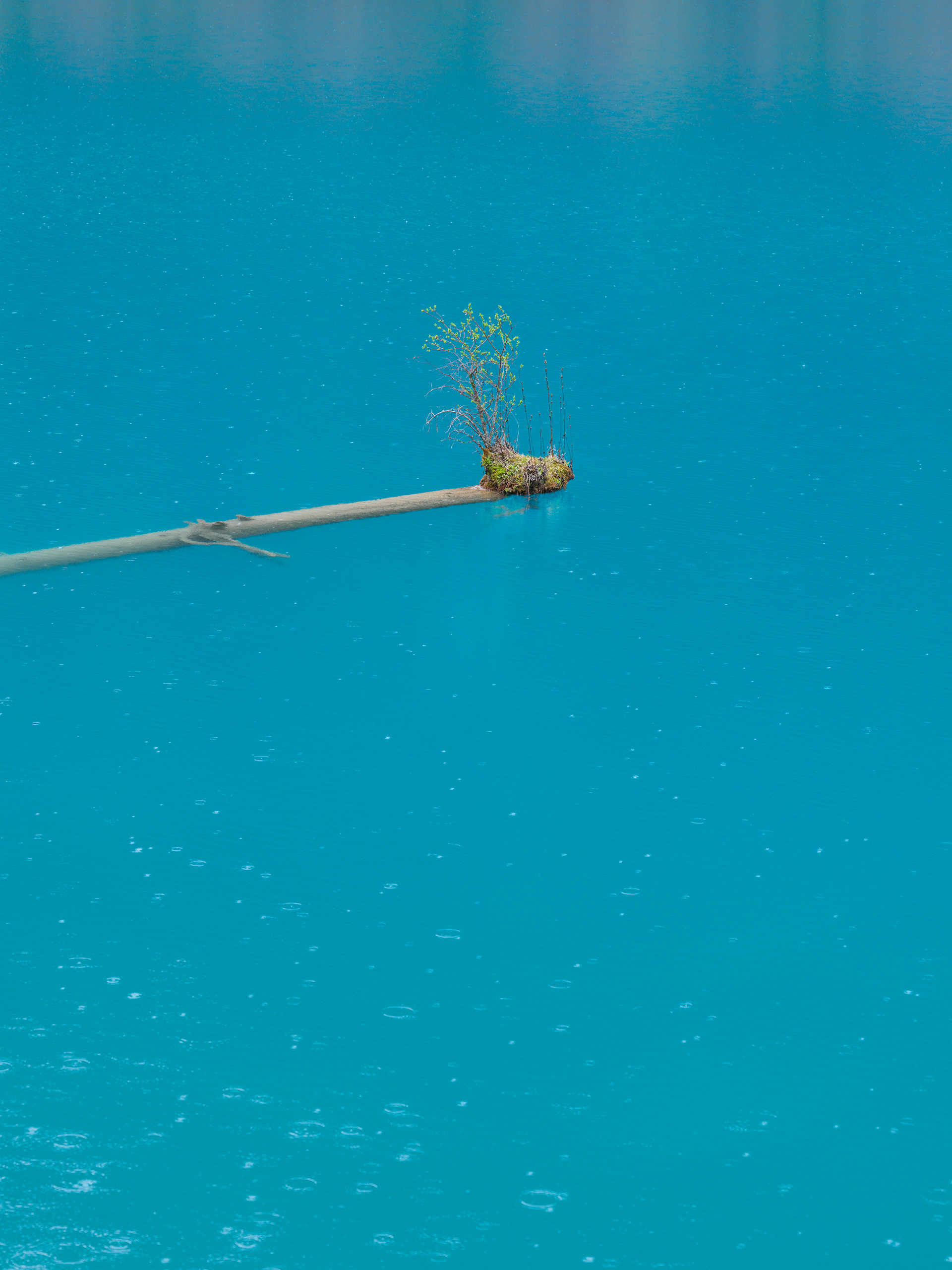 Jiuzhaigou National Park - Hasselblad X2Dii + XCD 35-100e