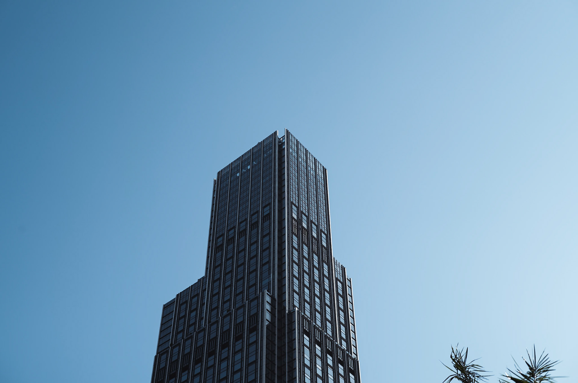 Rosewood Hotel, Hong Kong - Leica Summilux-M 1.4/50 Classic reissue 2025