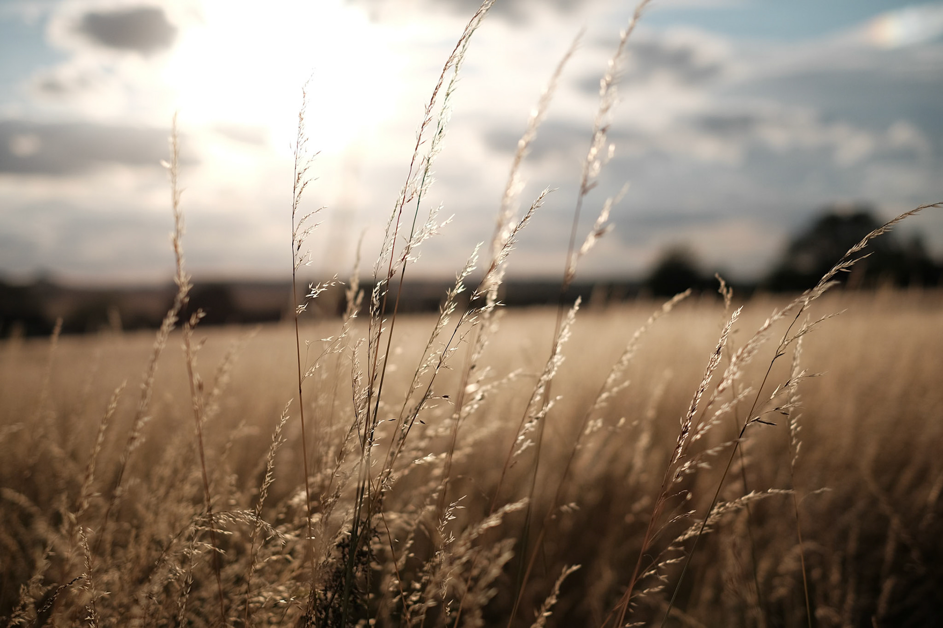 English Countryside - Fujifilm X-T1