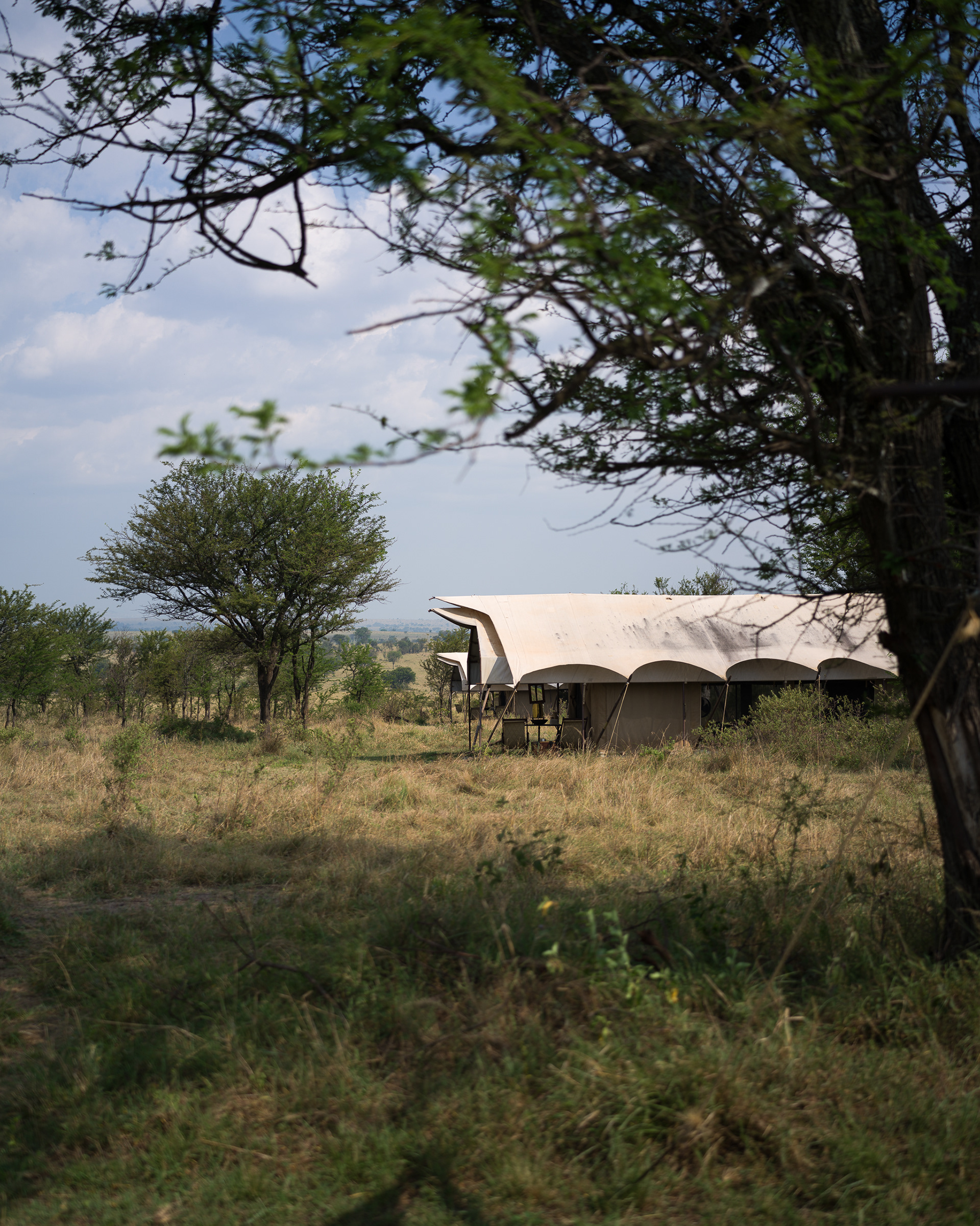 Our camp, &Beyond Serengeti Under Canvas camp - Hasselblad X2Dii + XCD 55v