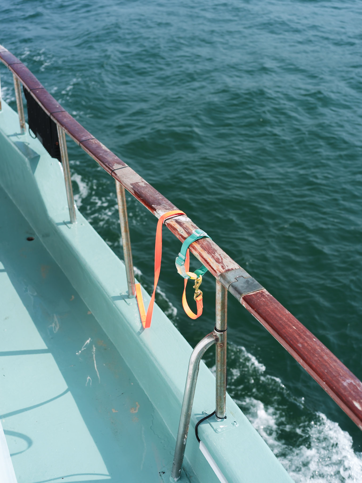 Leash, Hong Kong - Olympus E-PL1