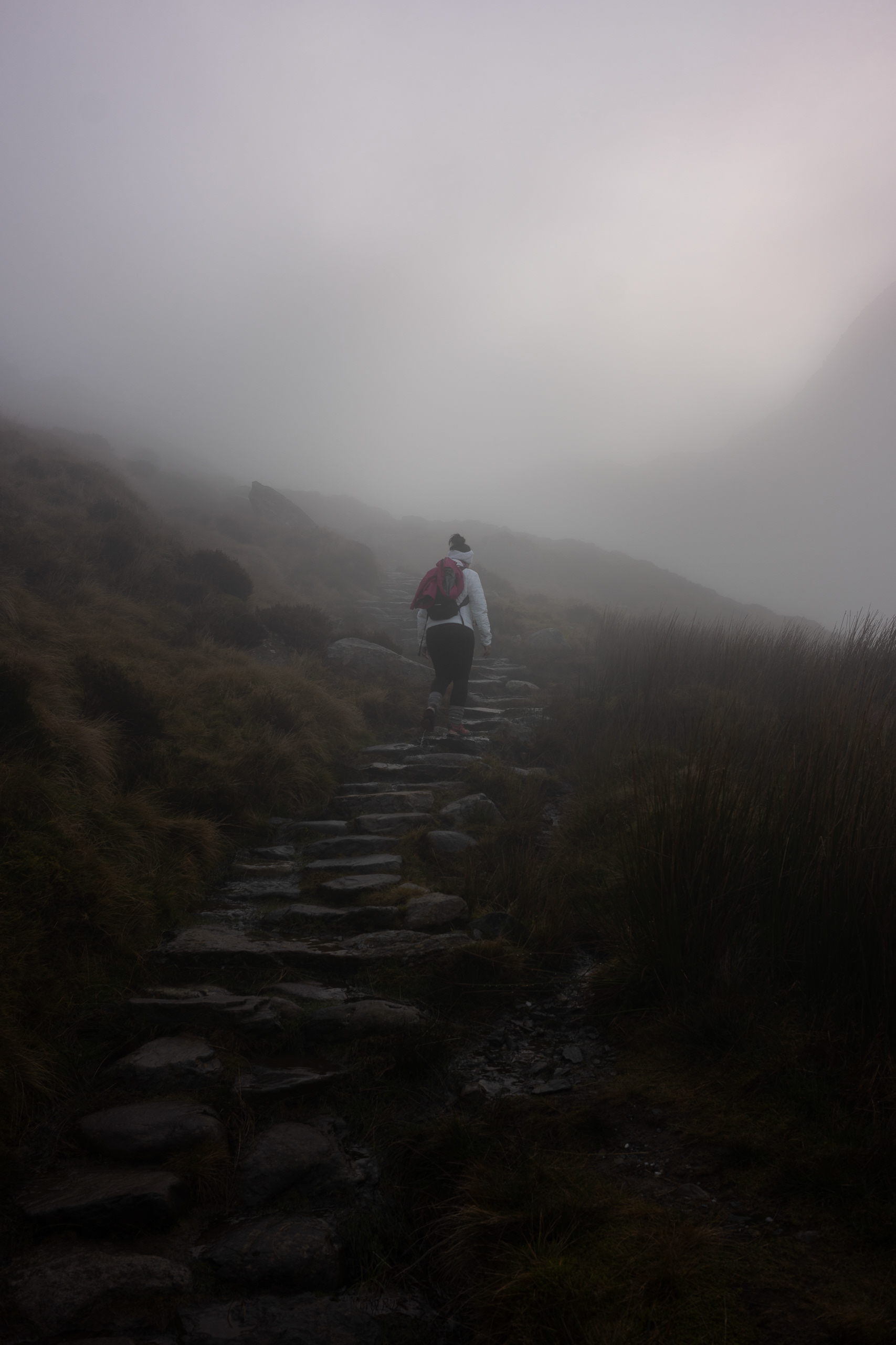 Wales - Leica SL2-S + Leica Elmarit-M 28mm F/2.8