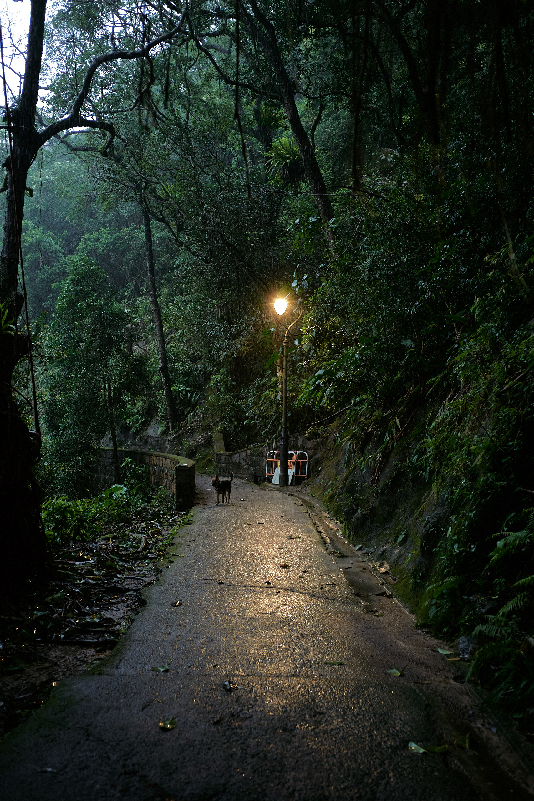 Hong Kong - Leica M10-P Reporter + Zeiss C Biogon 35mm F/2.8