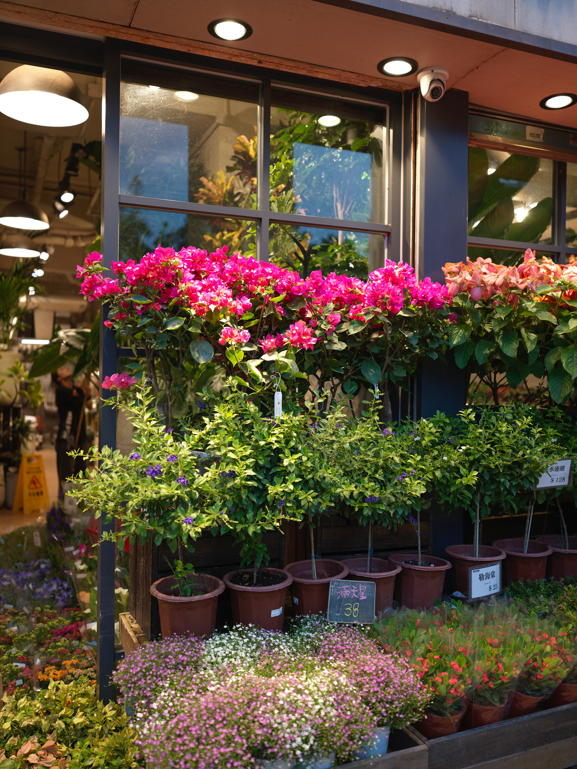 Hong Kong - Hasselblad X2Dii + XCD 38V