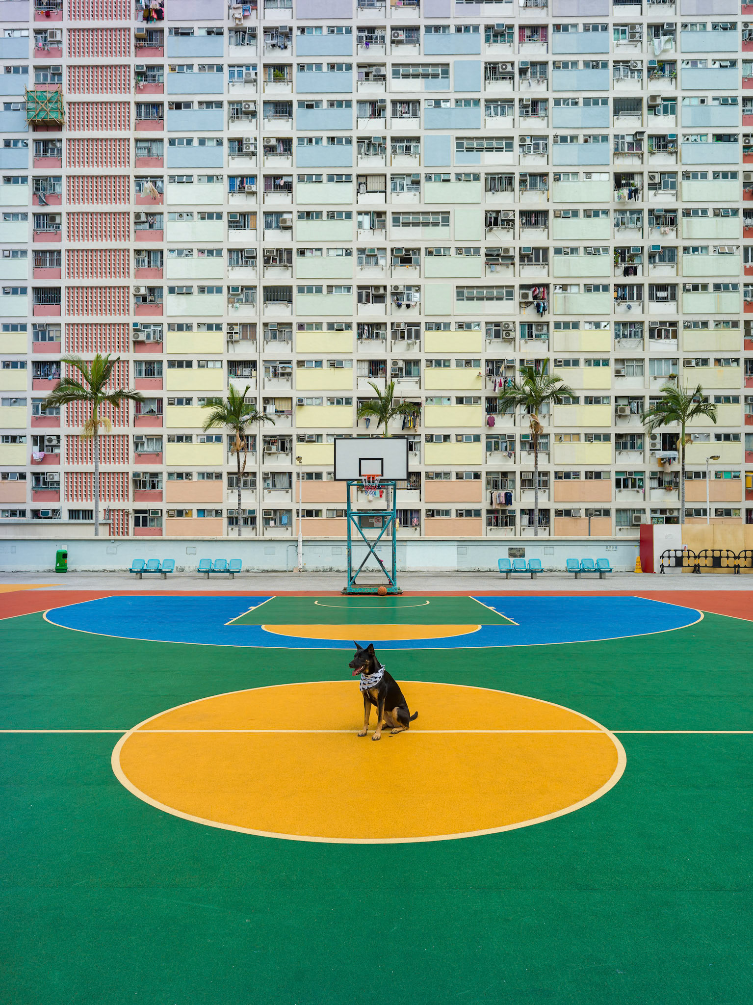 Hong Kong - Hasselblad X1Dii 50c