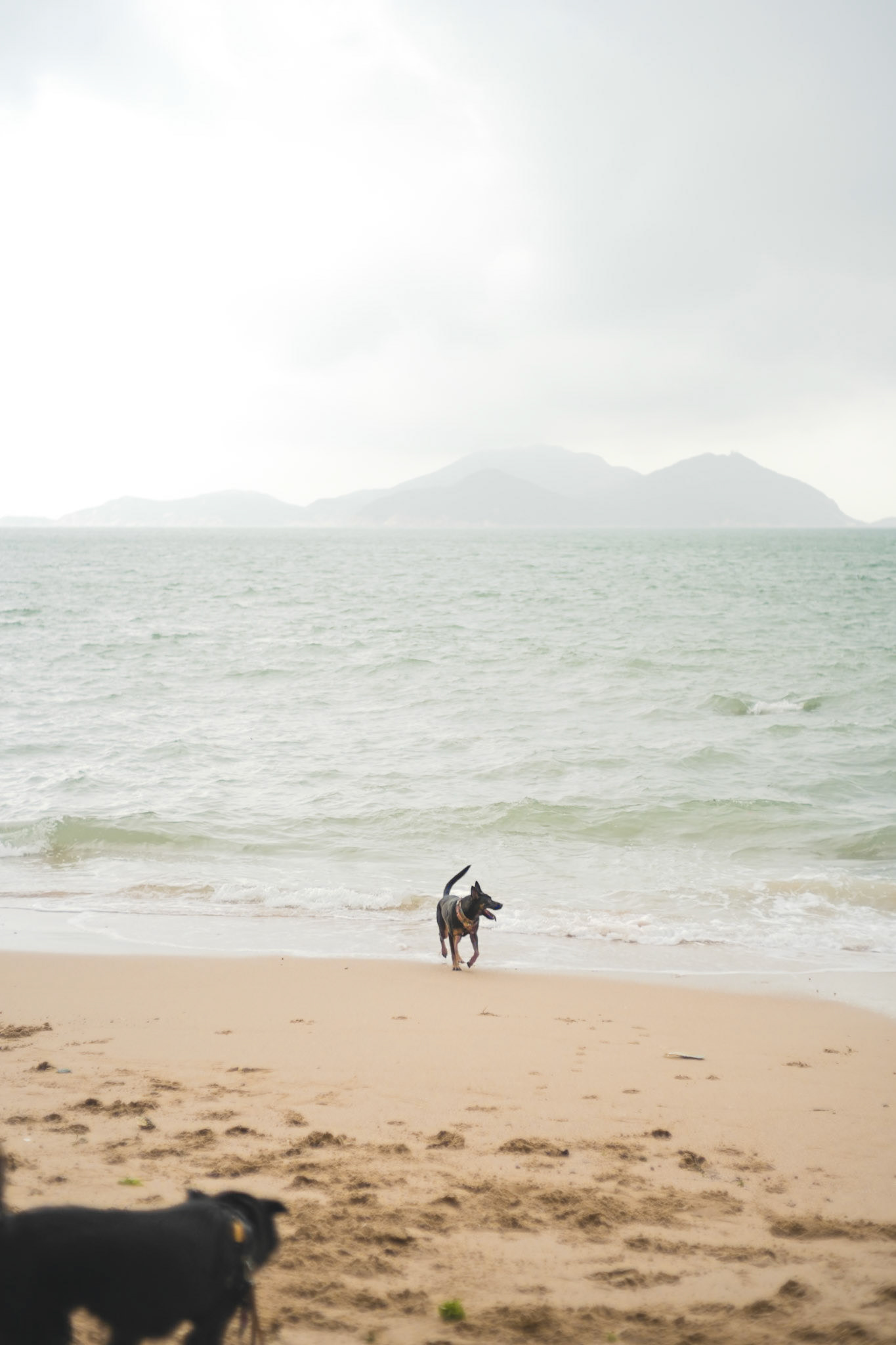 Family 1 - Leica M11-P