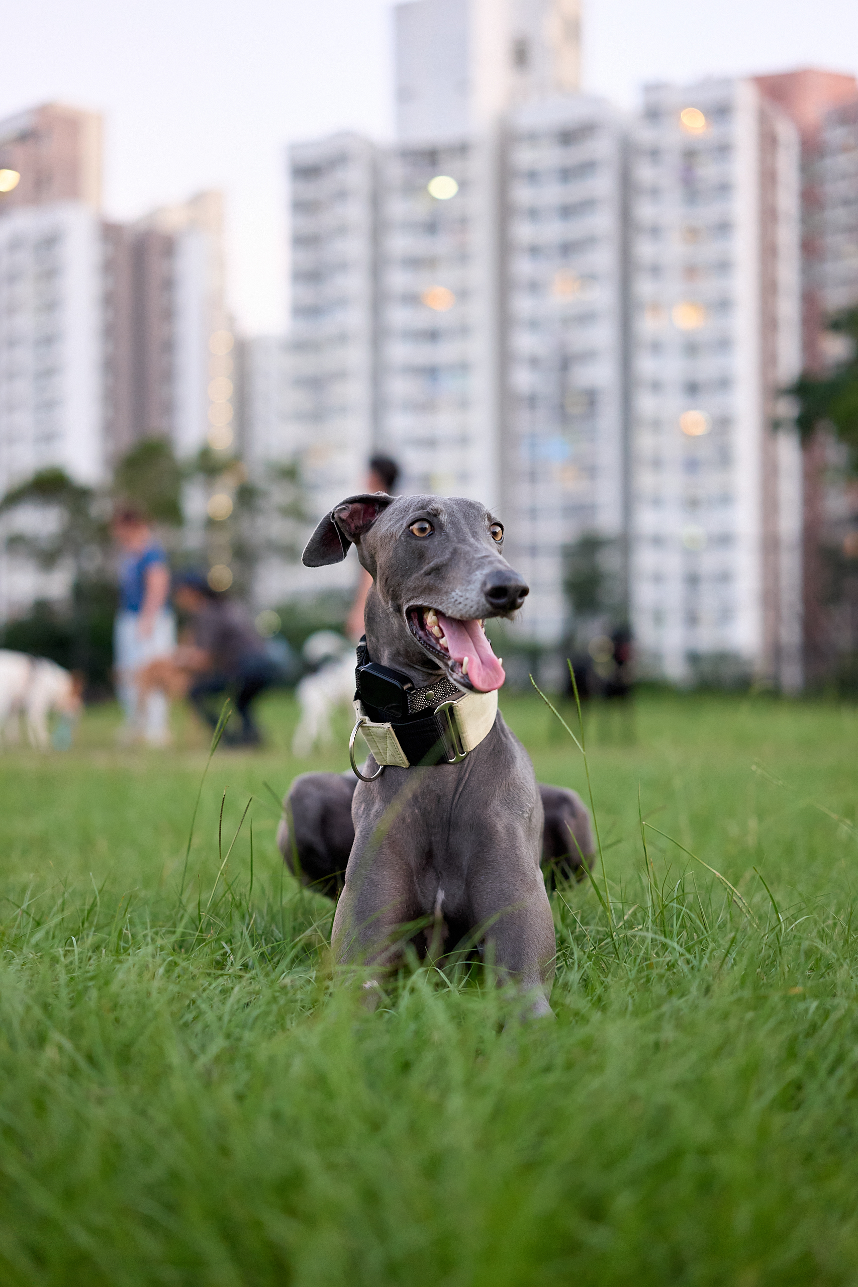 Hong Kong - Leica SL2-S + Sigma 50mm F/2 