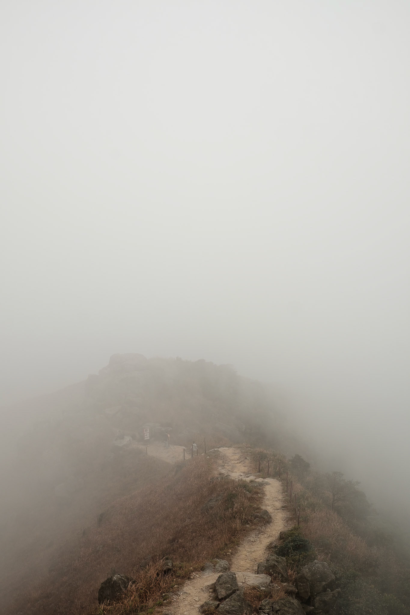 Hong Kong - Fujifilm X-T1