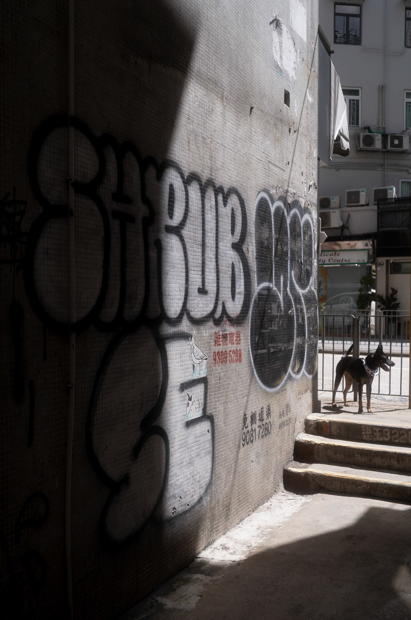 Hong Kong street - Leica M11-P